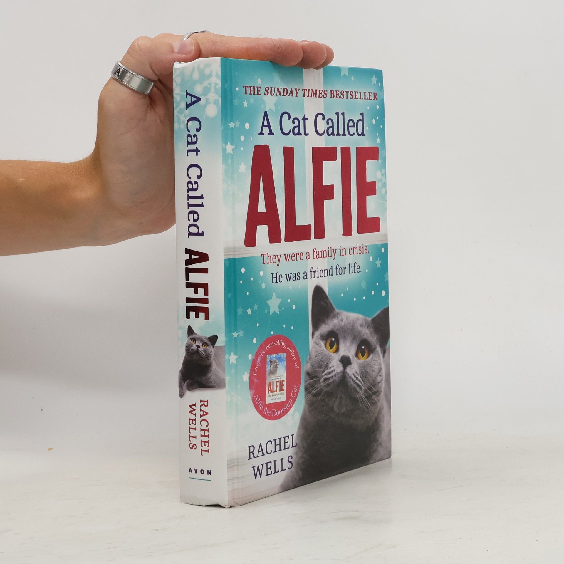 Rachel Wells A Cat Called Alfie