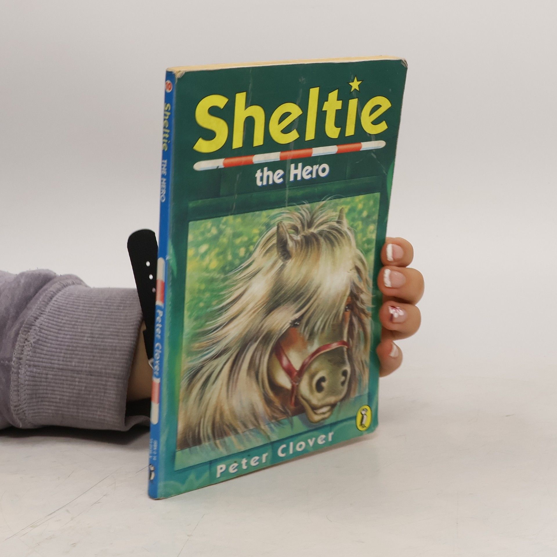 Peter Clover Sheltie the Hero