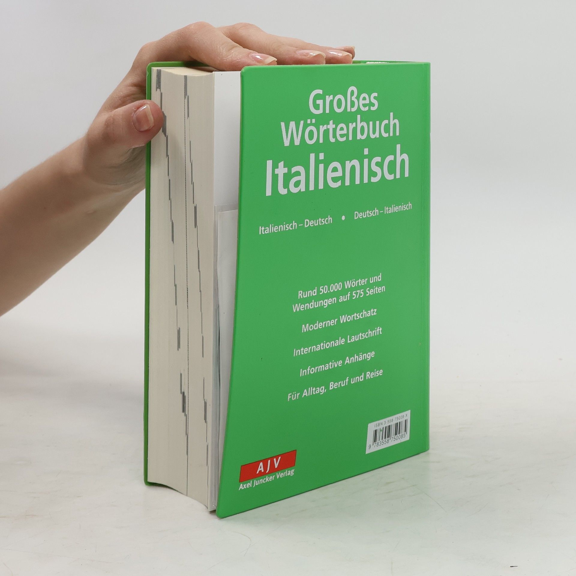 Autorenkollektiv Großes Wörterbuch Italienisch. Italienisch-Deutsch/Deutsch-Italienisch