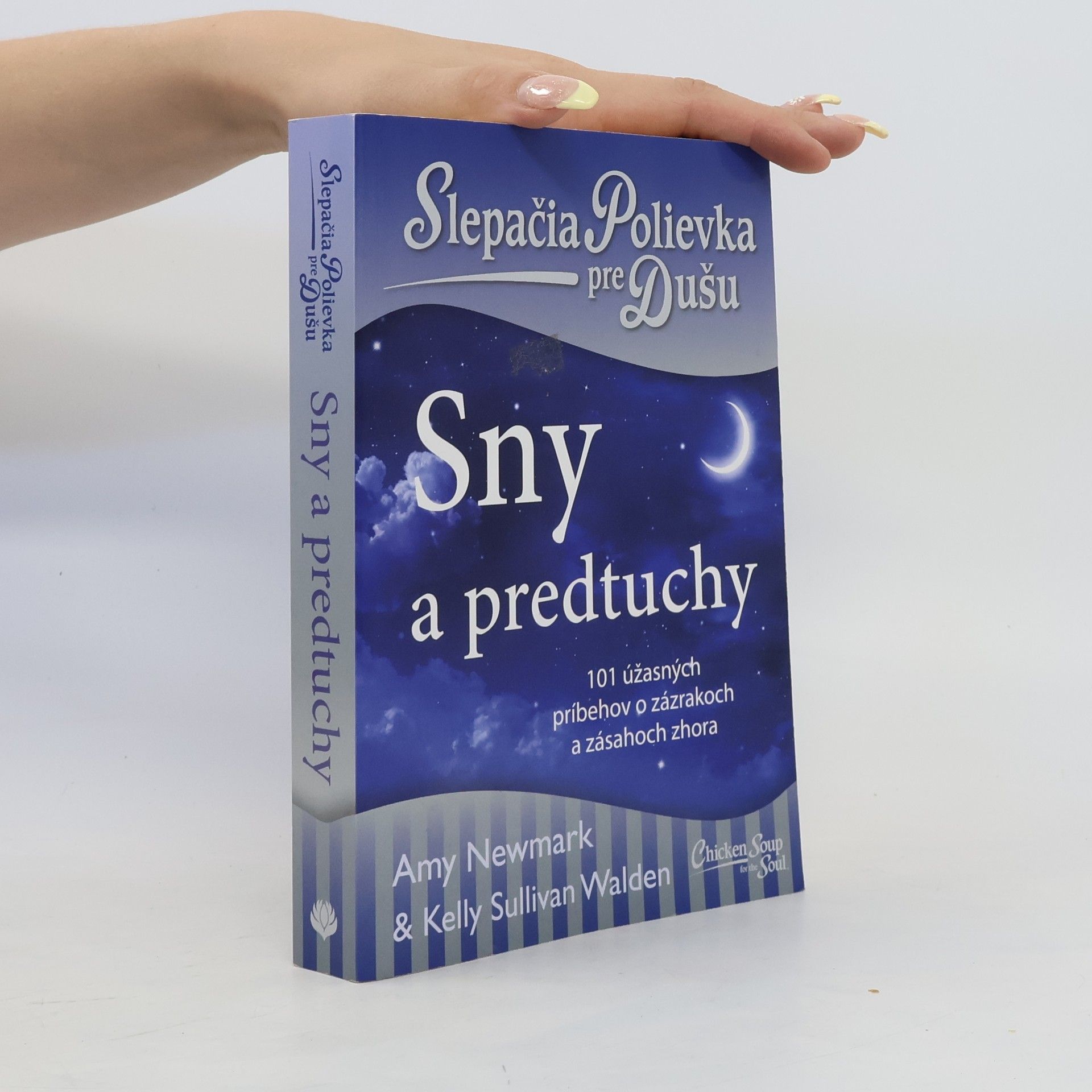 Amy Newmark Slepačia polievka pre dušu: Sny a predtuchy