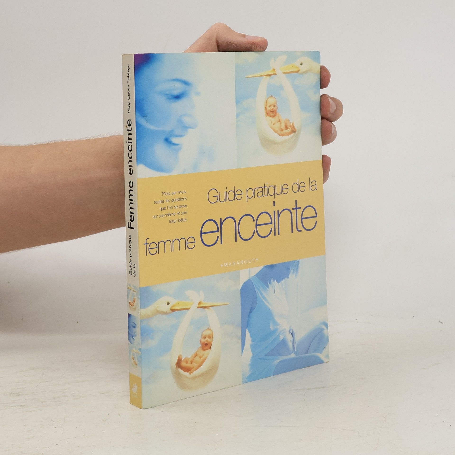 Marie-Claude Delahaye Guide pratique de la femme enceinte