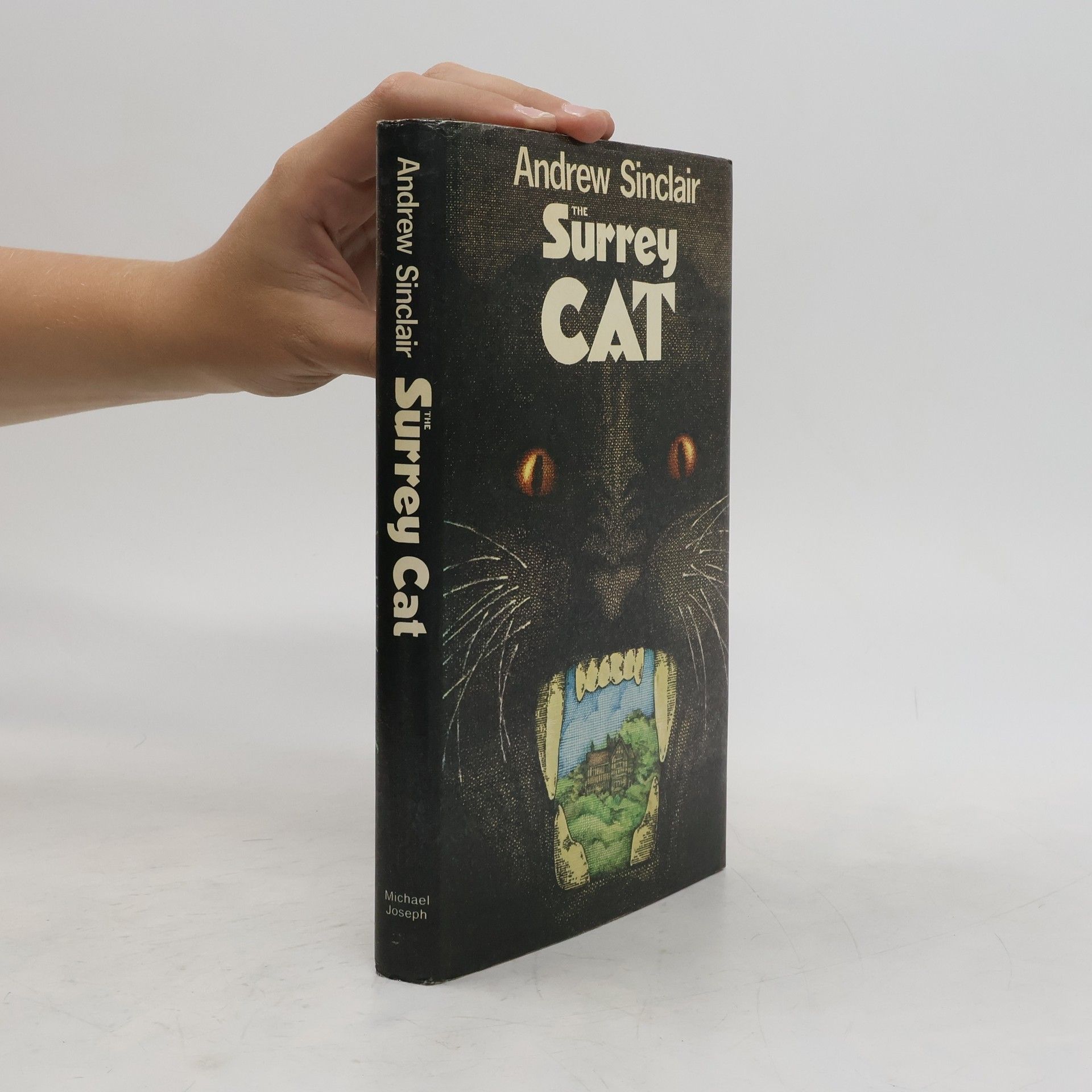 Andrew Sinclair The Surrey Cat