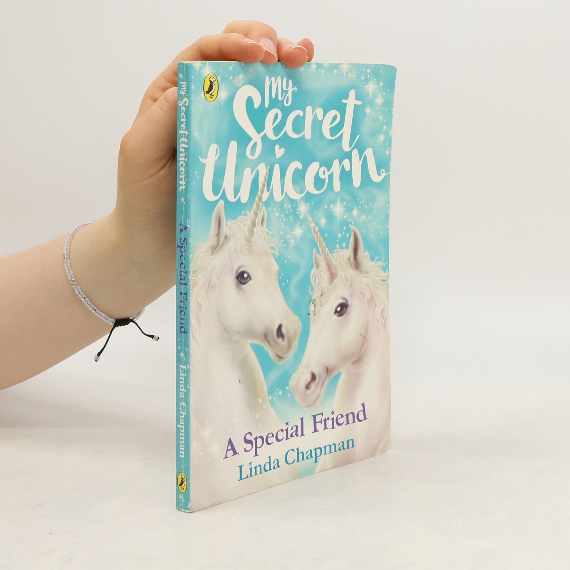 Linda Chapman My secret Unicorn