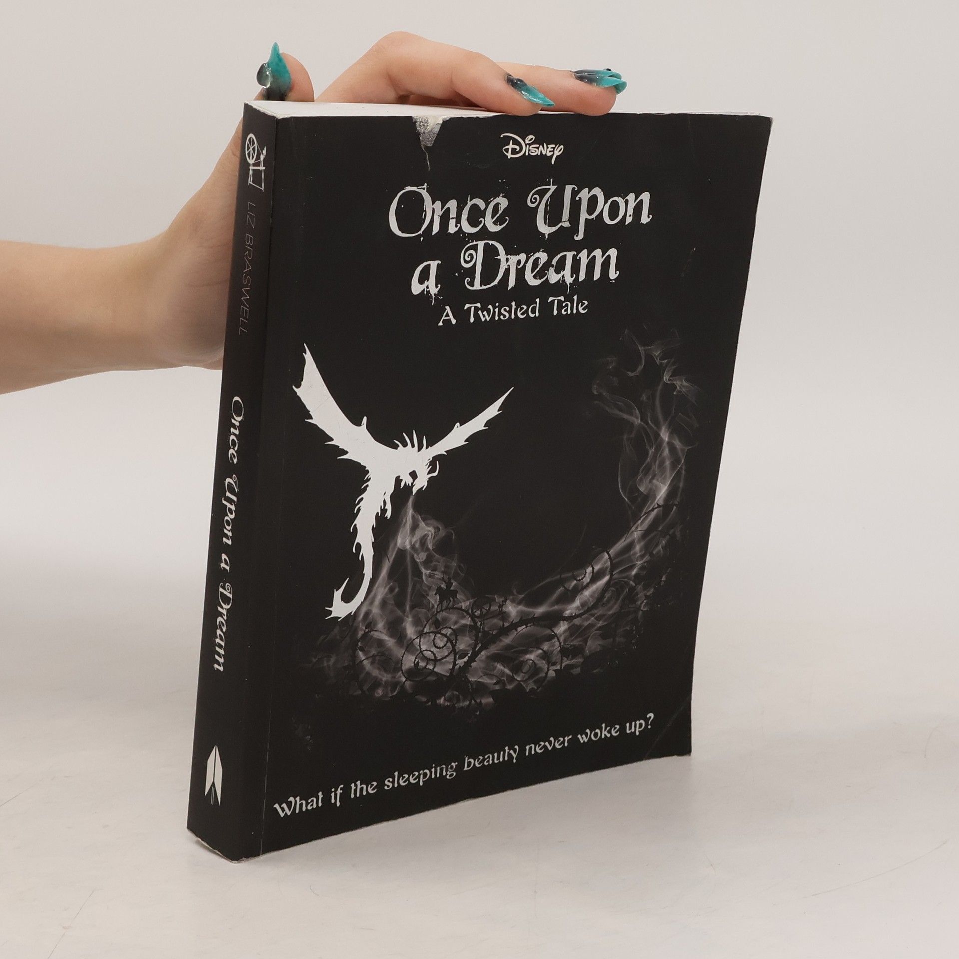 Liz Braswell Once Upon a Dream