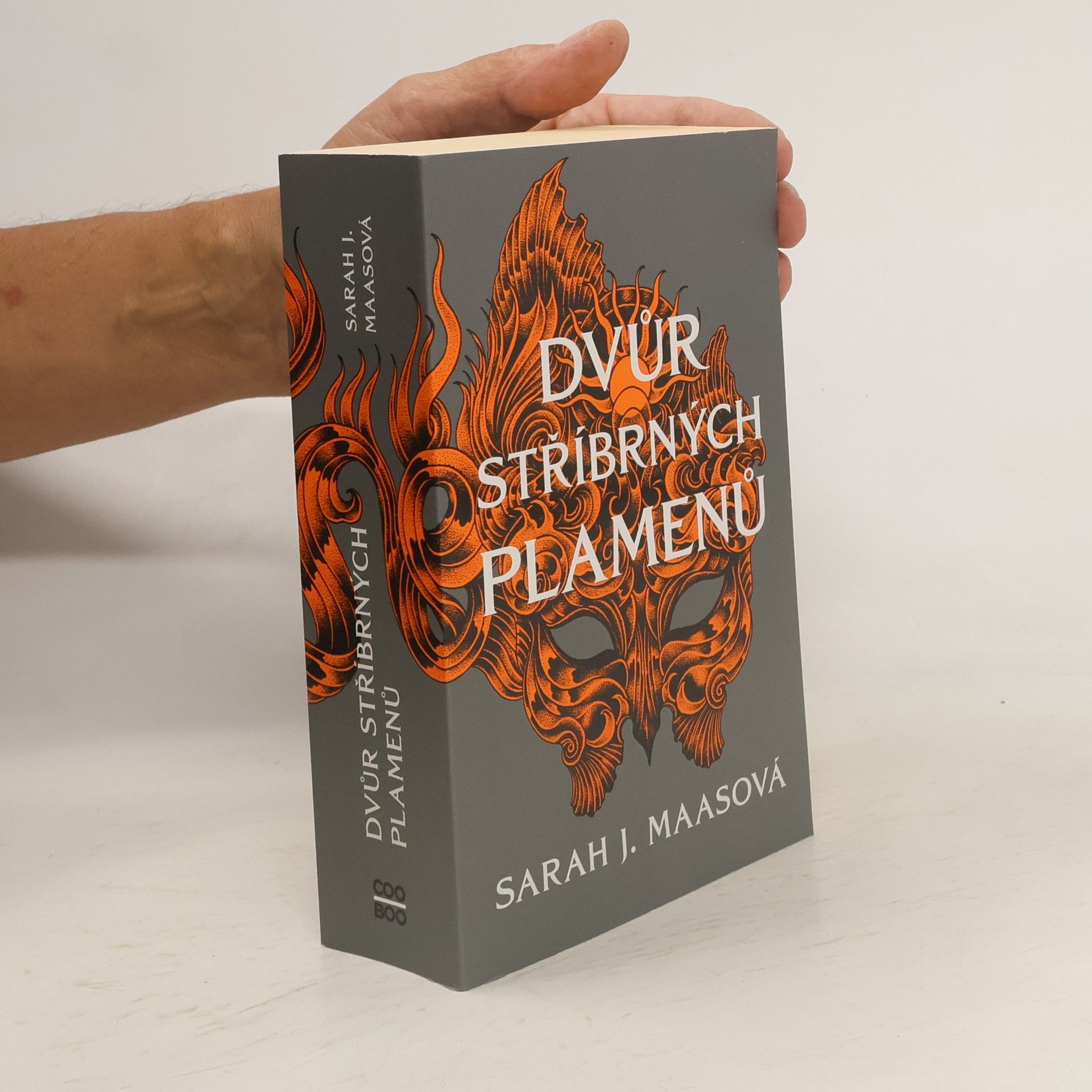 Sarah J. Maas Dvůr stříbrných plamenů