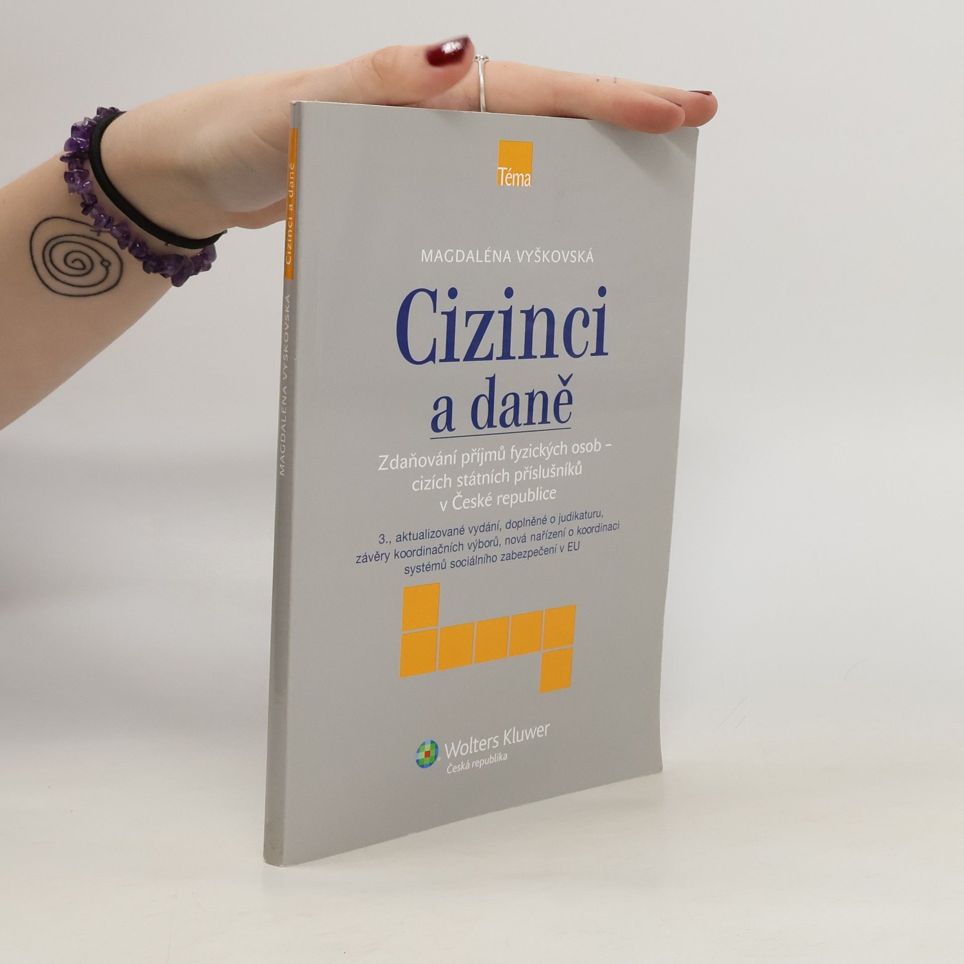 Magdaléna Vyškovská Cizinci a daně