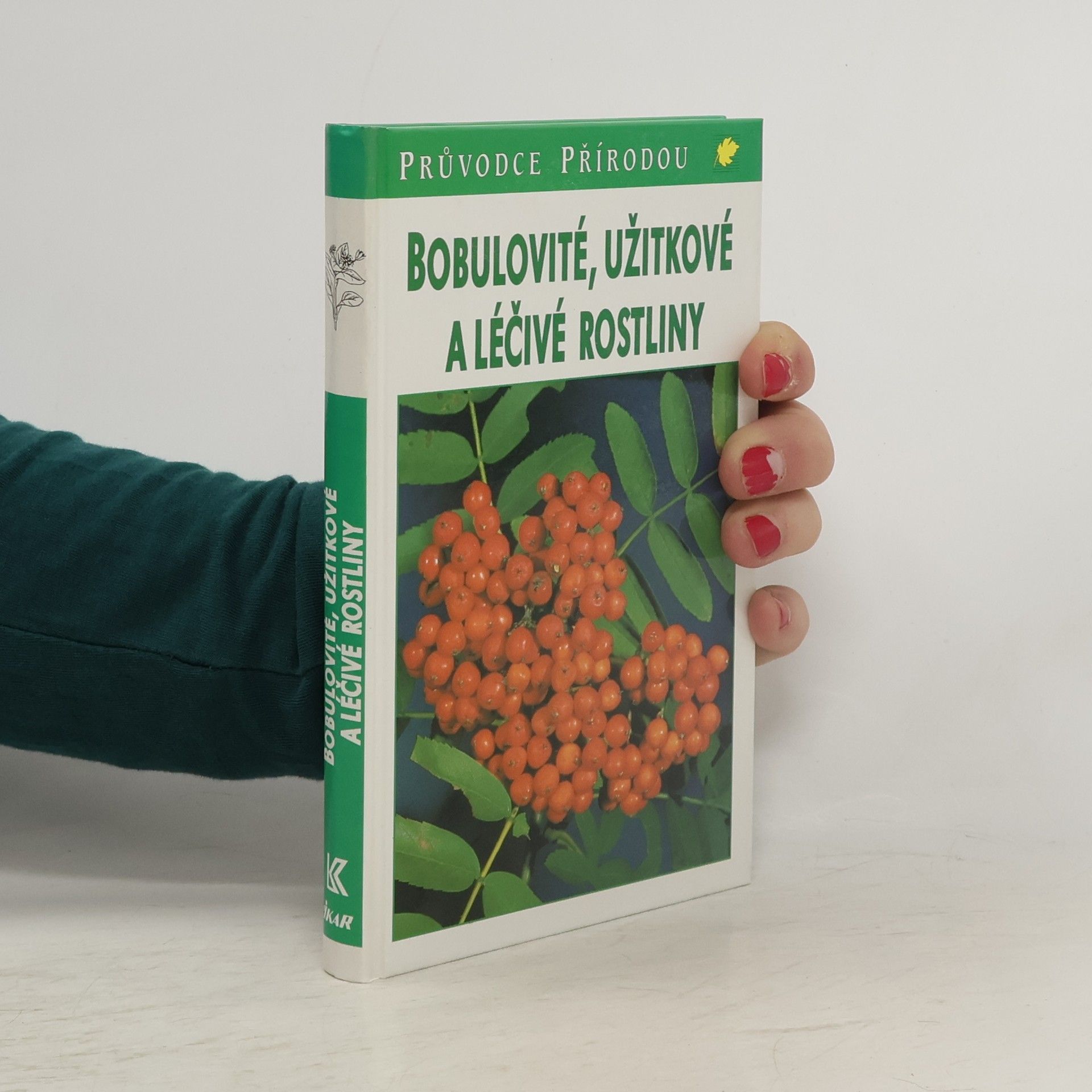 Jürke Grau Bobulovité, užitkové a léčivé rostliny