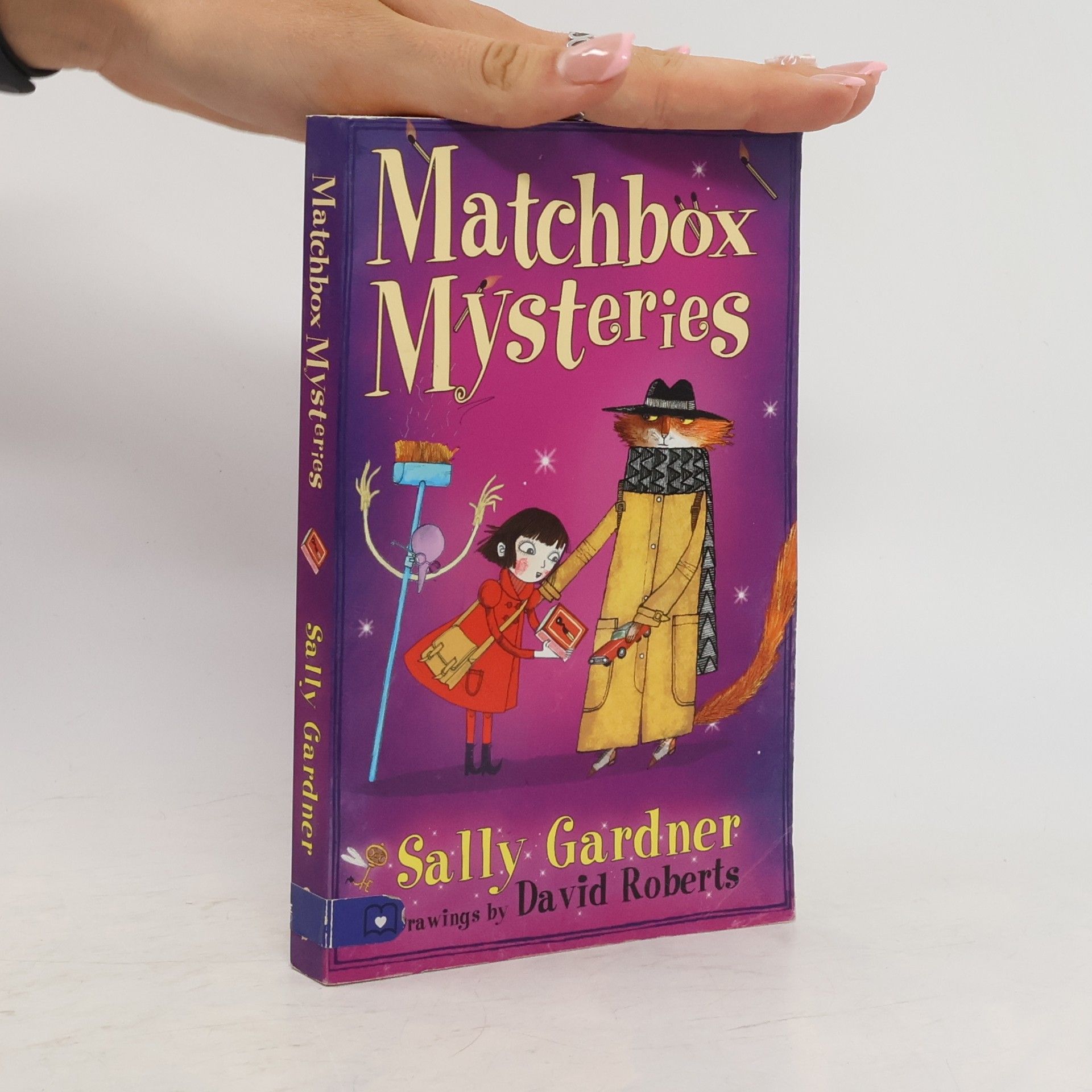Sally Gardner Matchbox Mysteries