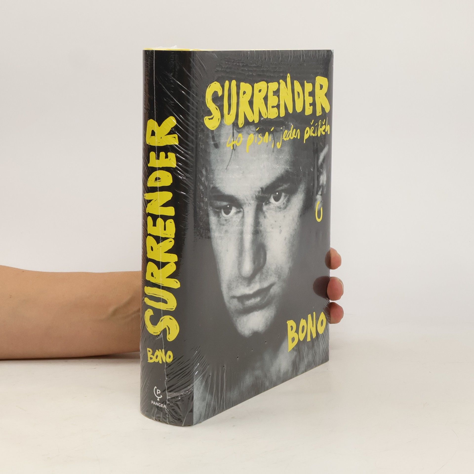 Bono Surrender : 40 písní, jeden příběh