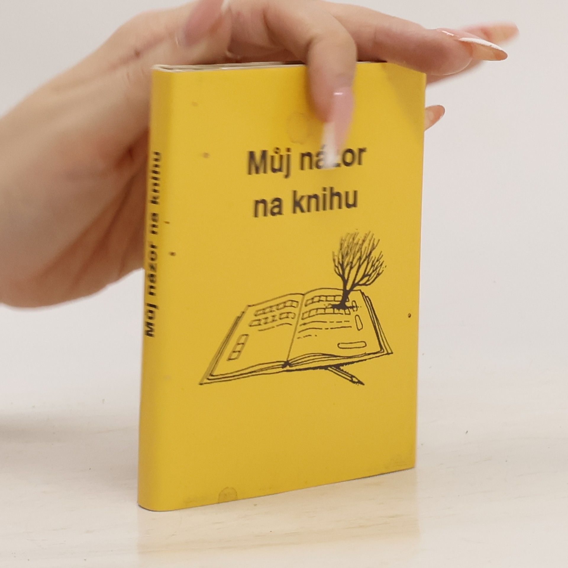 Vratislav Ebr Můj názor na knihu