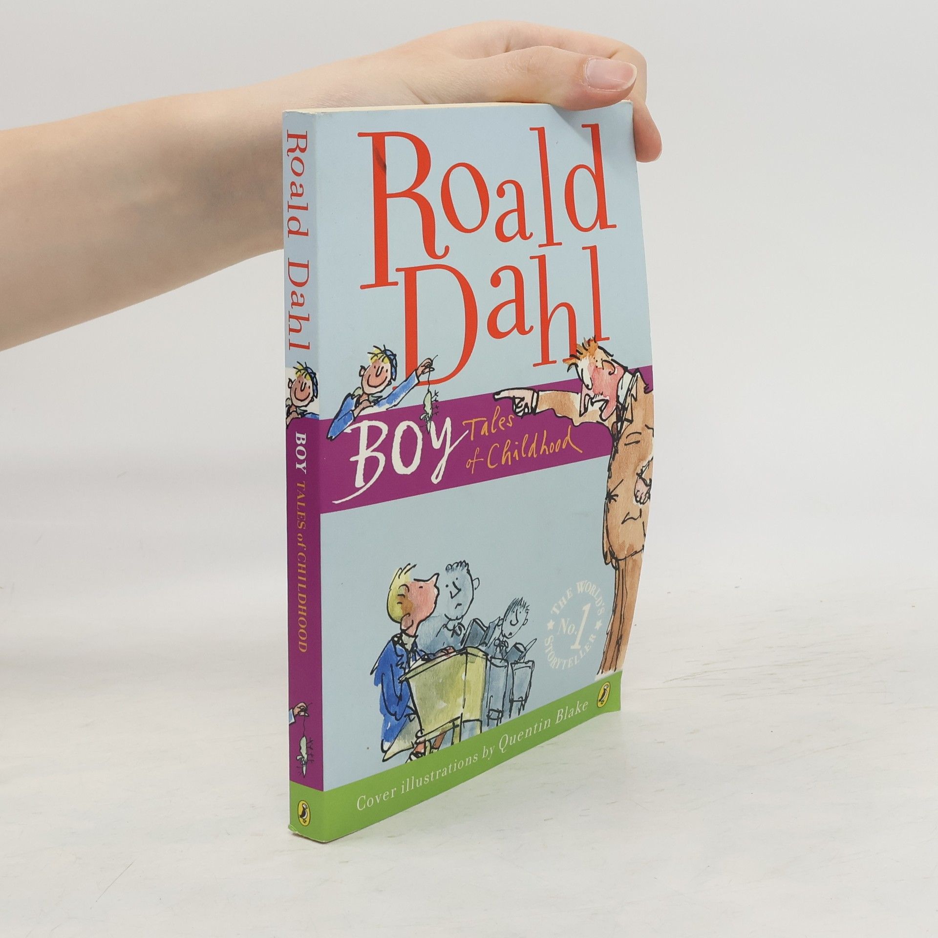 Roald Dahl Boy : tales of childhood