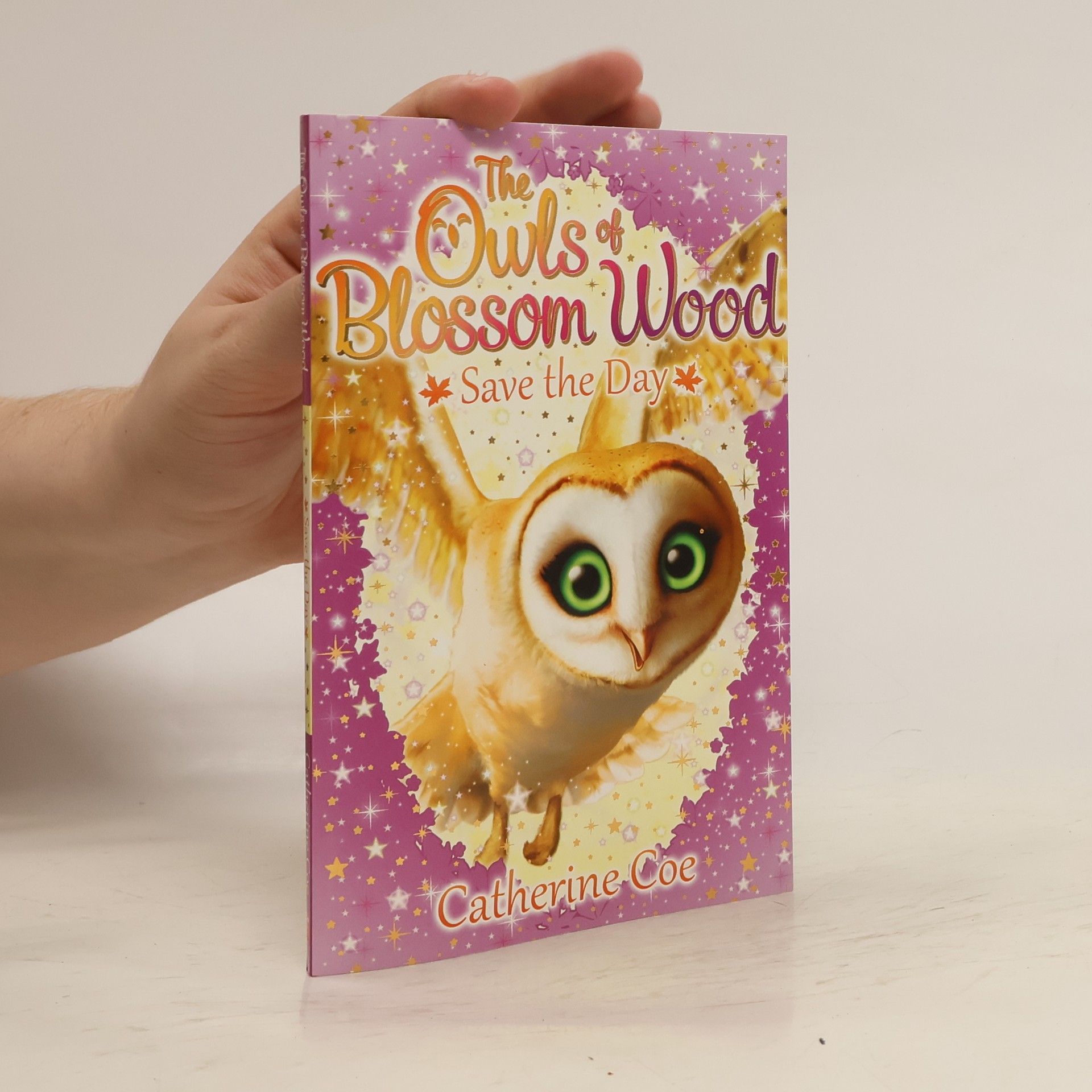 Catherine Coe The Owls of Blossom Wood 5. Save the Day