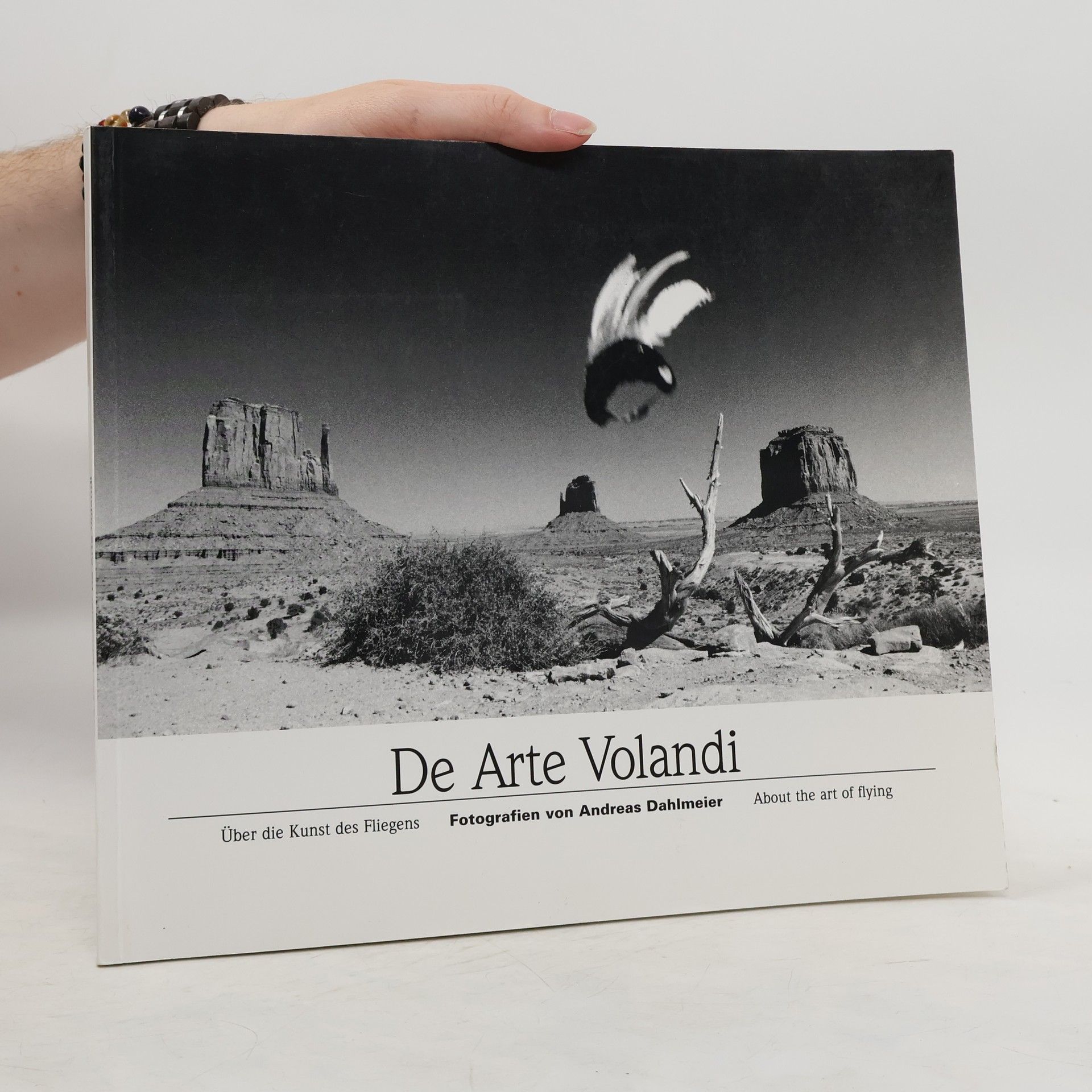 Andreas Dahlmeier De arte volandi