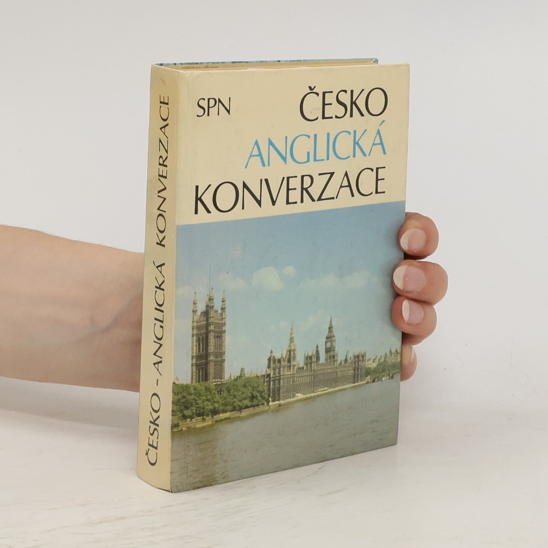 Collectif d'auteurs Česko-anglická konverzace