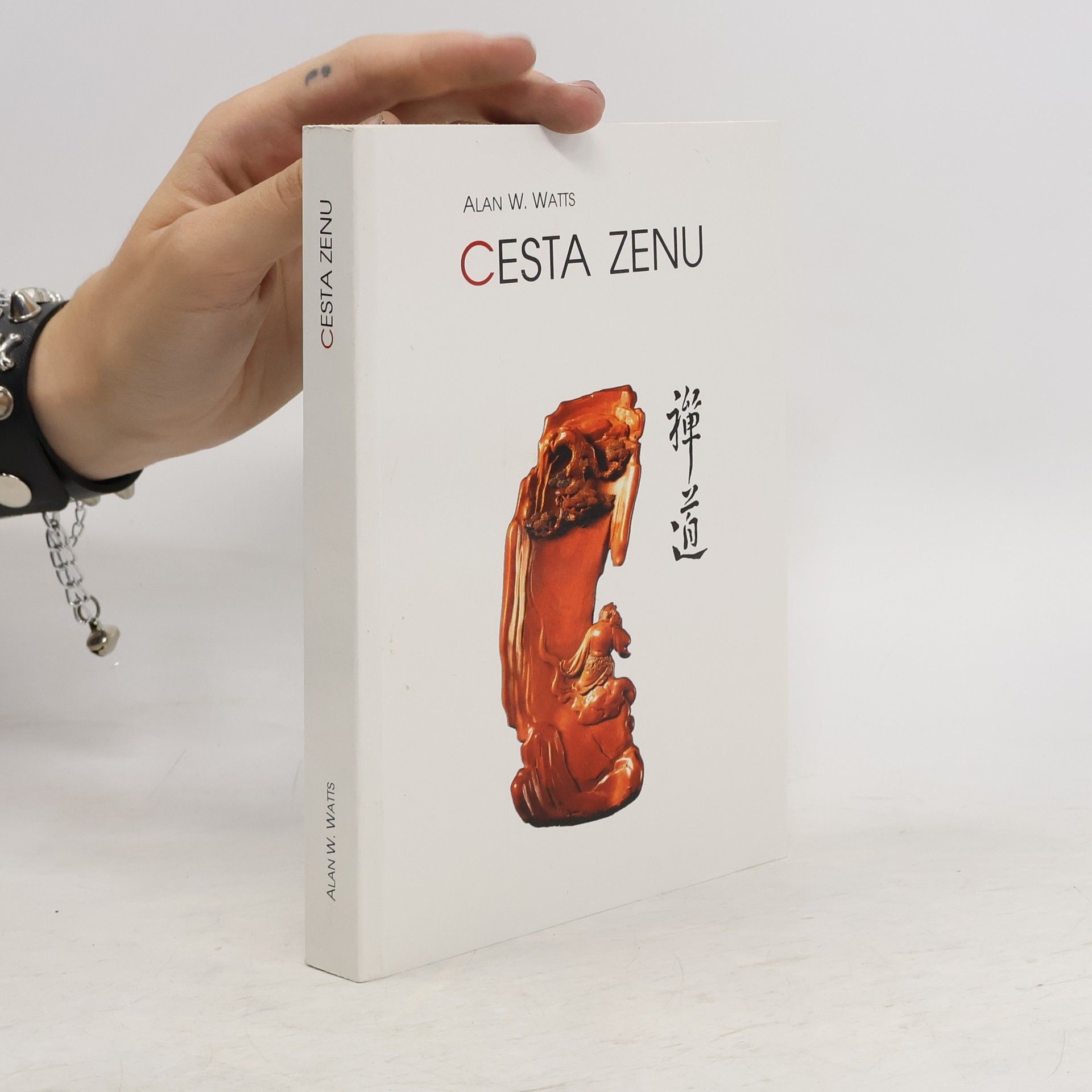 Alan Watts Cesta zenu