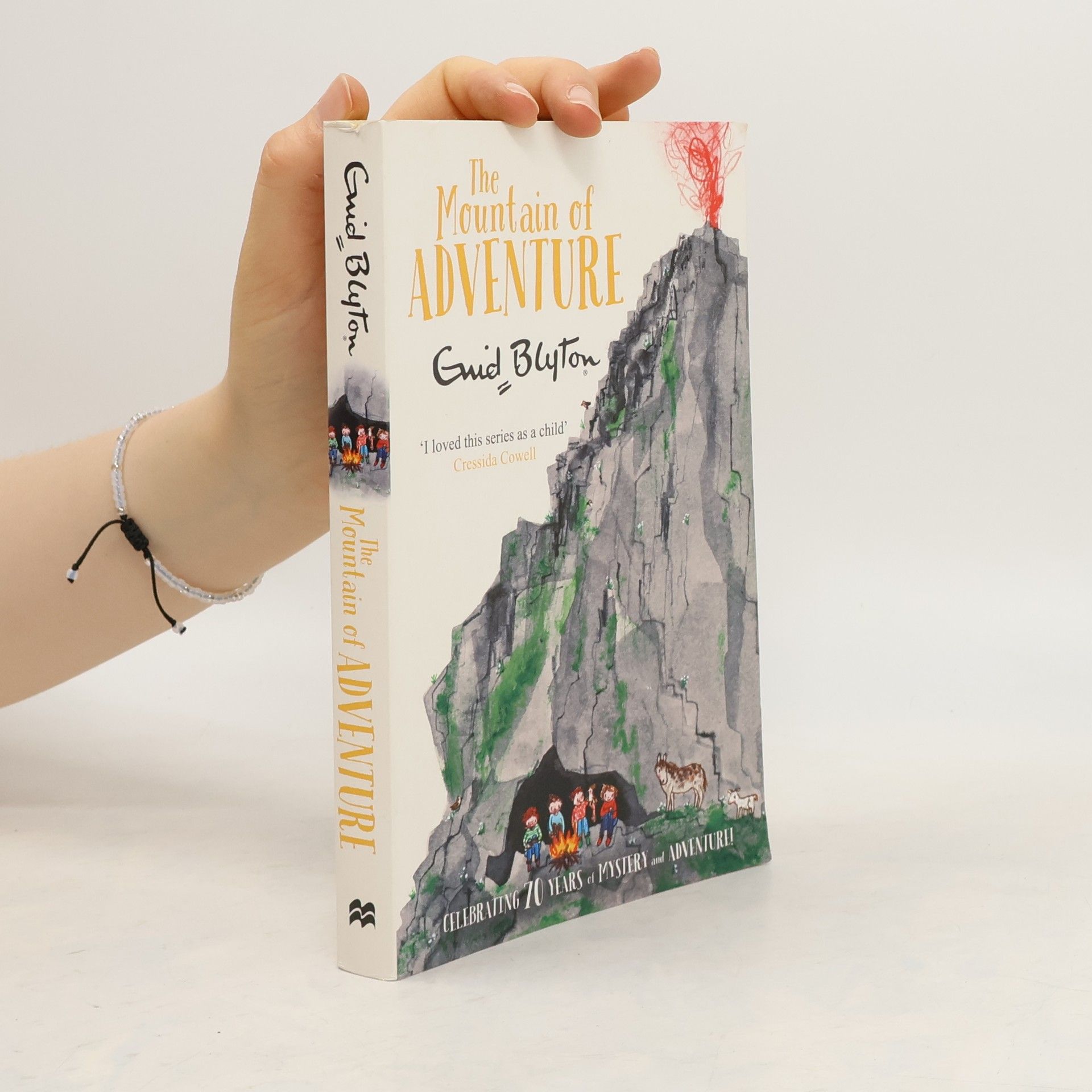 Enid Blyton The Mountain of Adventure