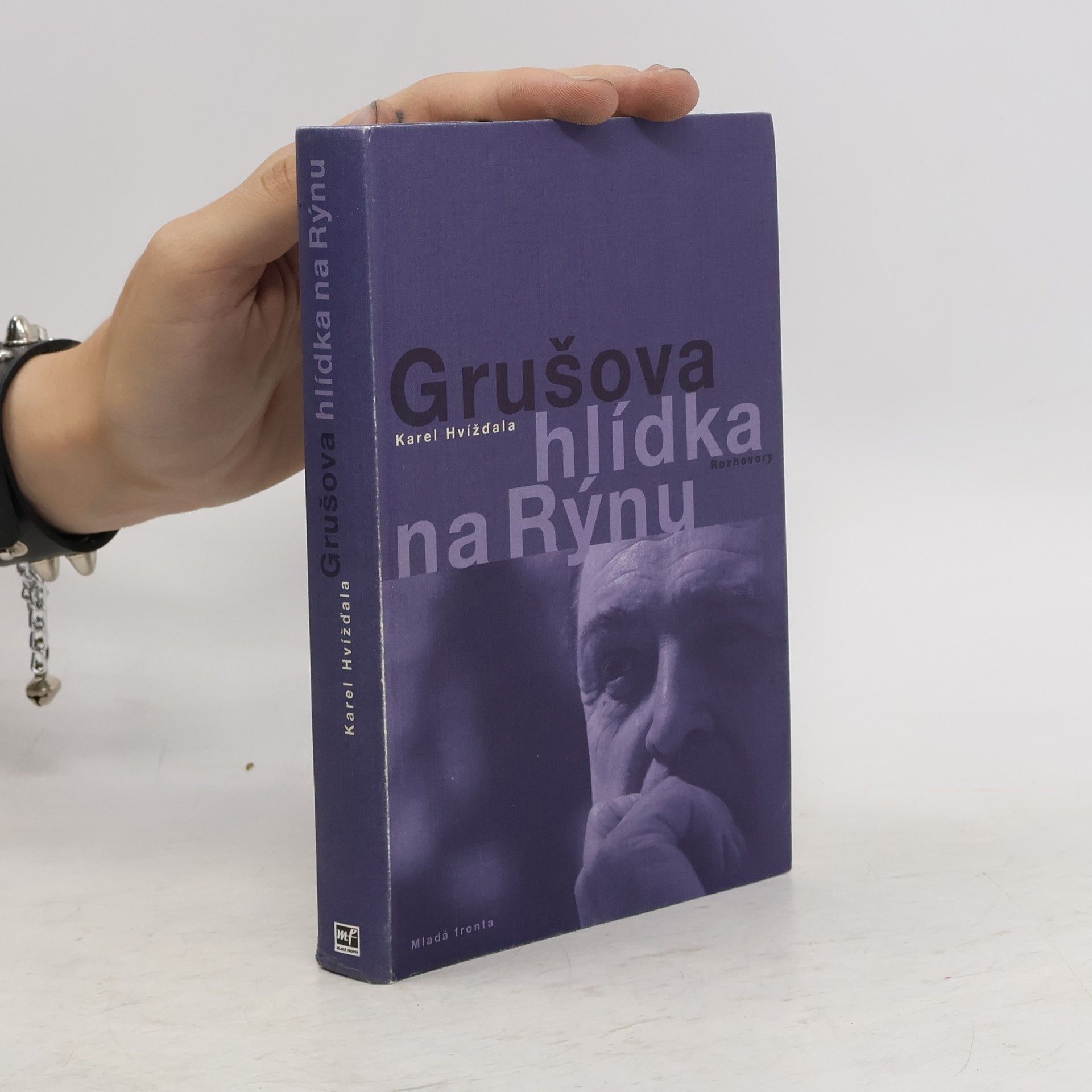 Jiří Gruša Grušova hlídka na Rýnu: Rozhovory z let 1983-2011