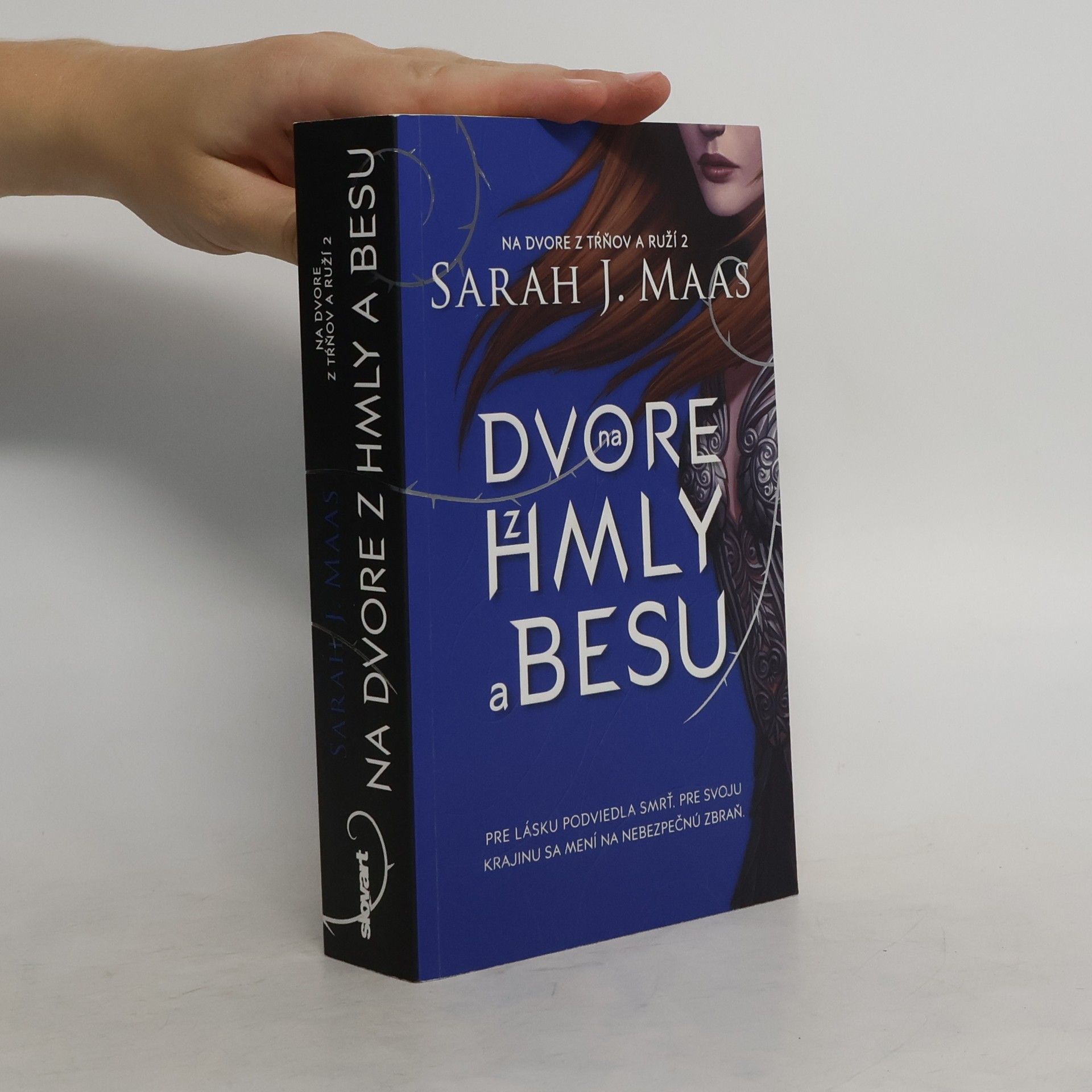Sarah J. Maas Na dvore z hmly a besu