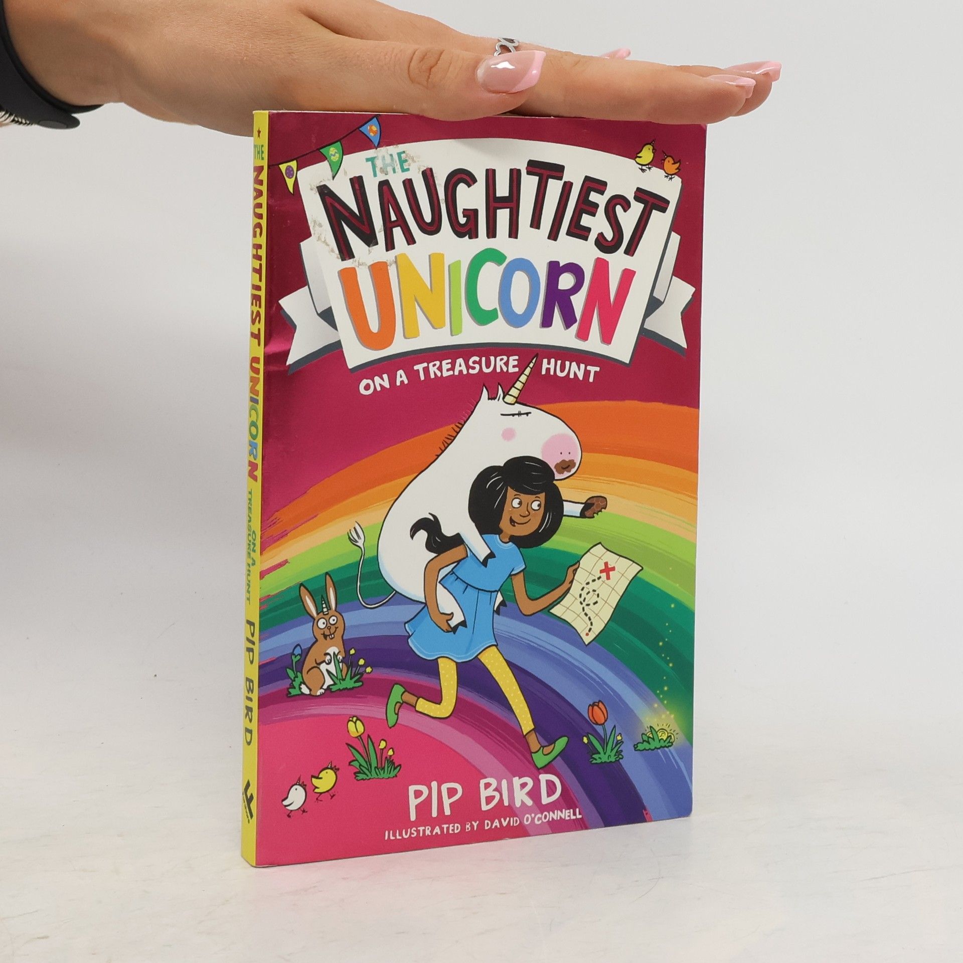 Pip Bird The Naughtiest Unicorn on a Treasure Hunt