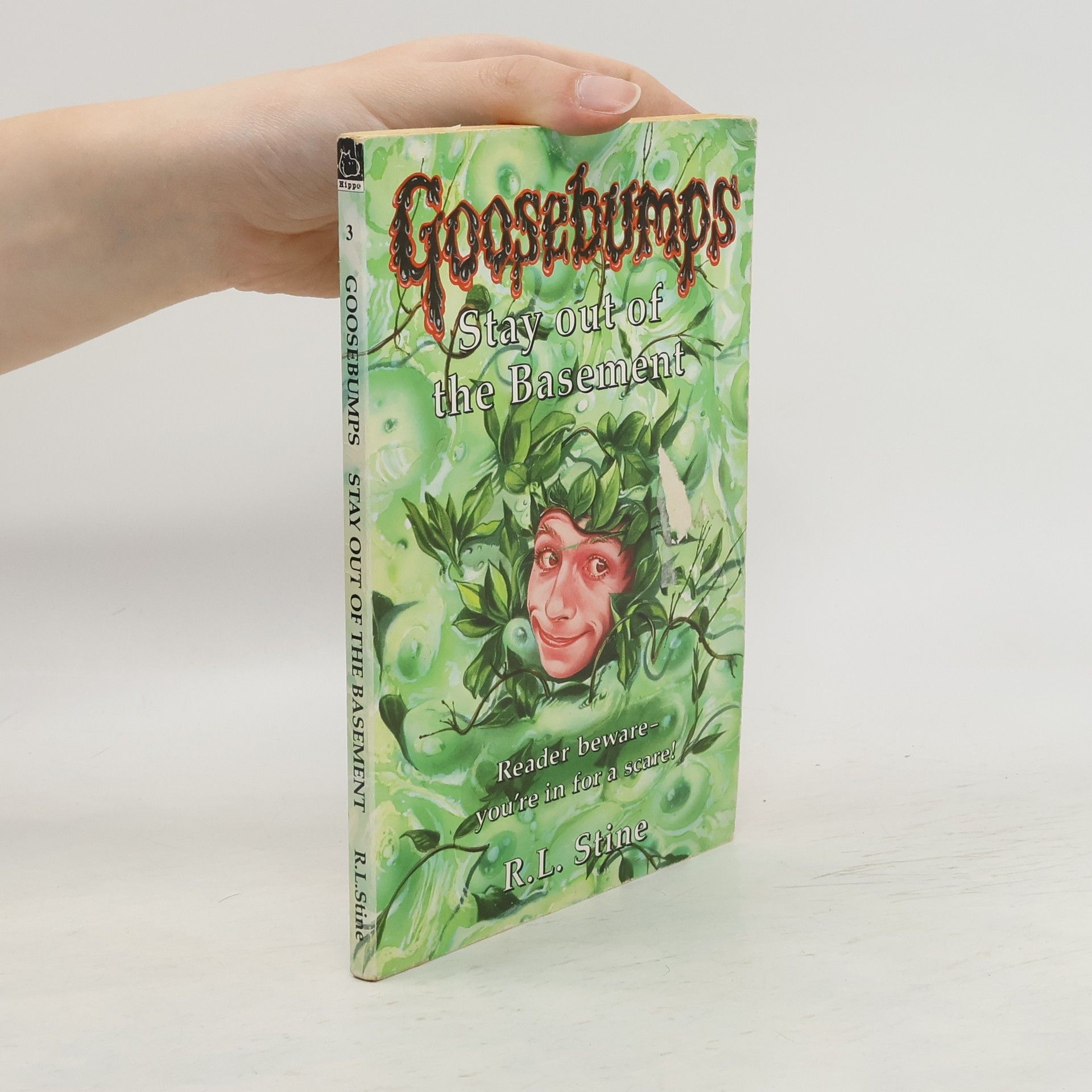 R. L. Stine Stay Out of the Basement