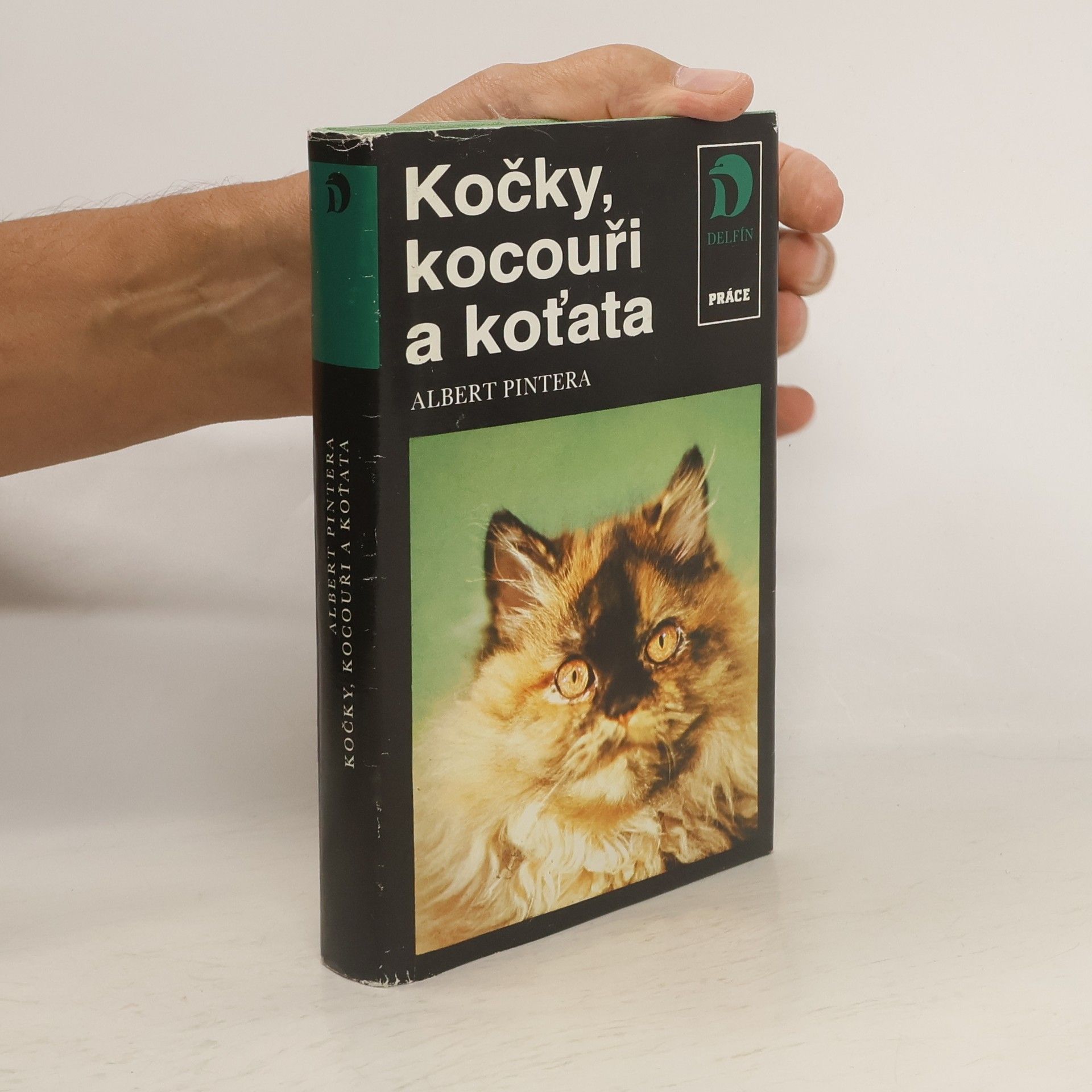 Albert Pintera Kočky, kocouři a koťata