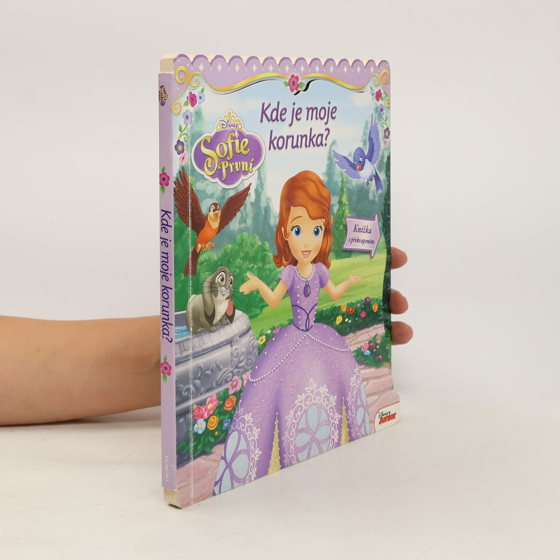 Lori C. Froeb Sofie První - Kde je moje korunka?