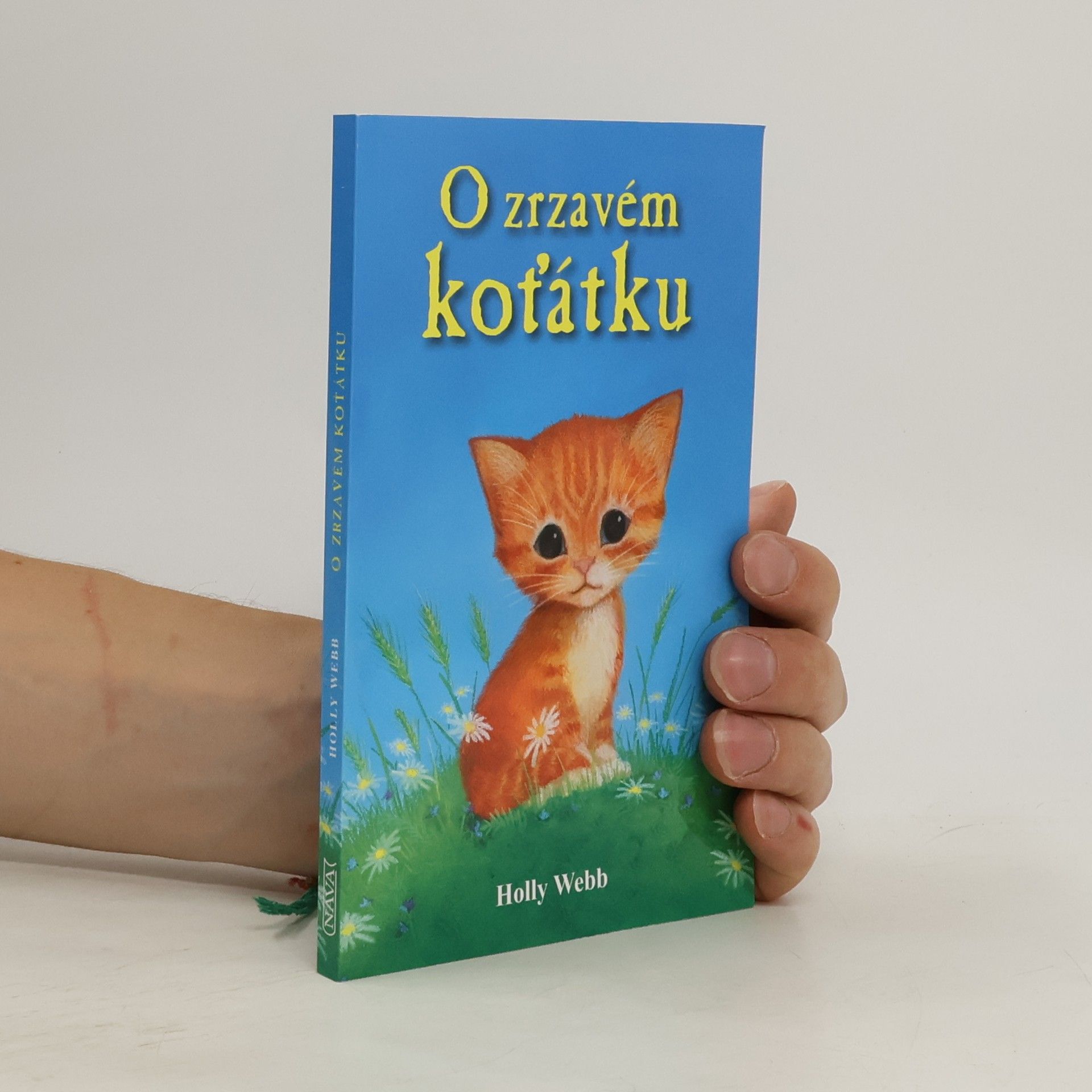 Holly Webb O zrzavém koťátku