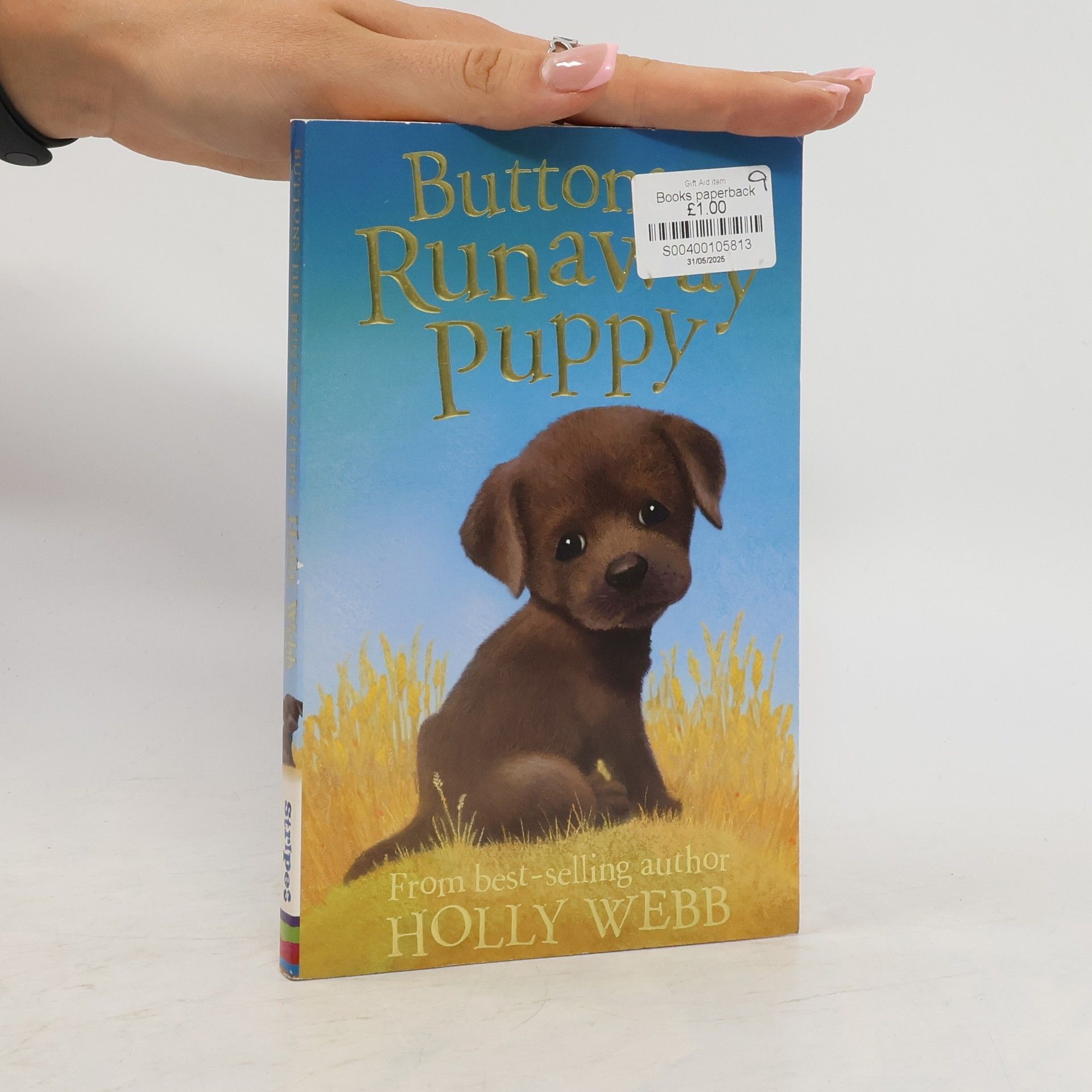 Holly Webb Buttons the Runaway Puppy