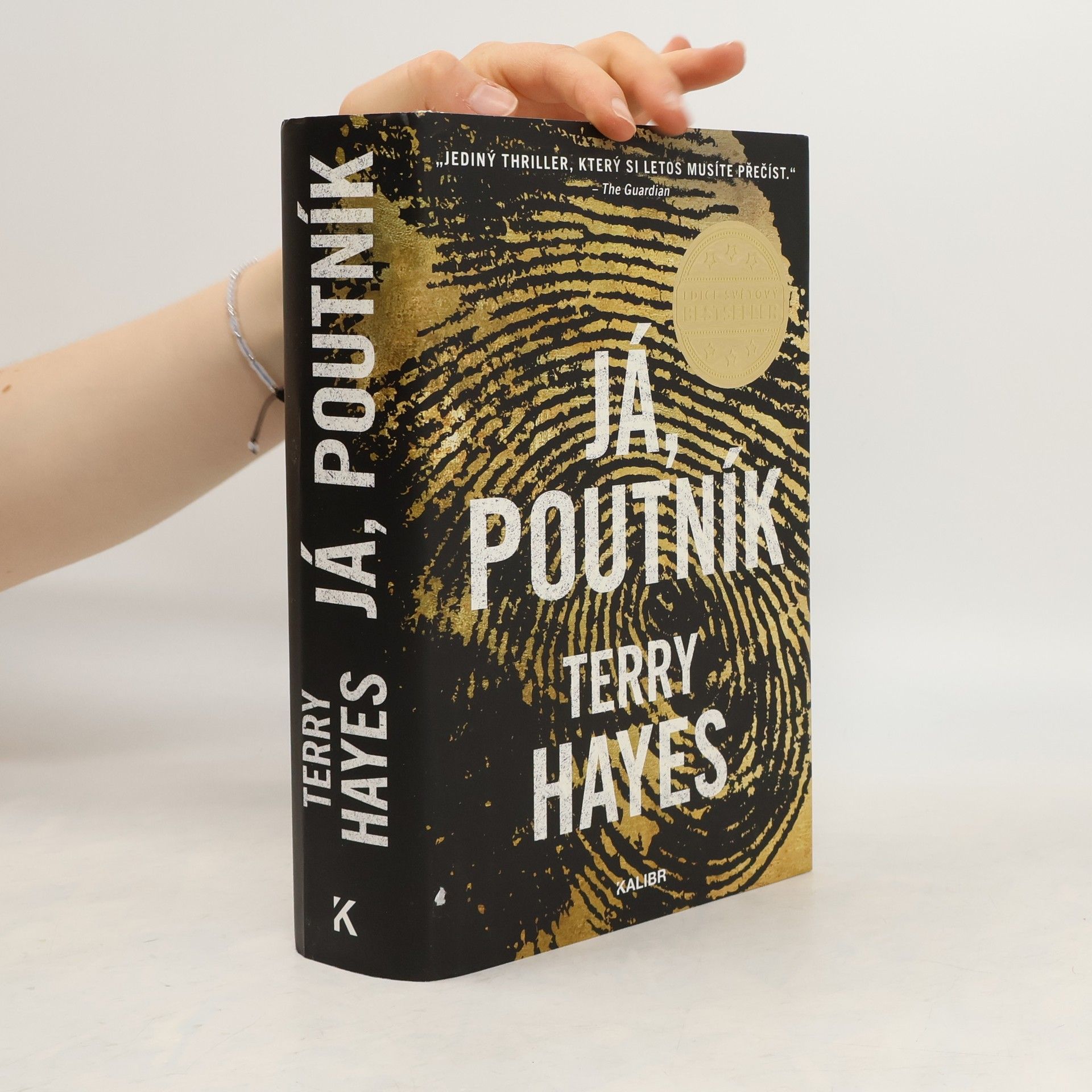 Terry Hayes Já, Poutník