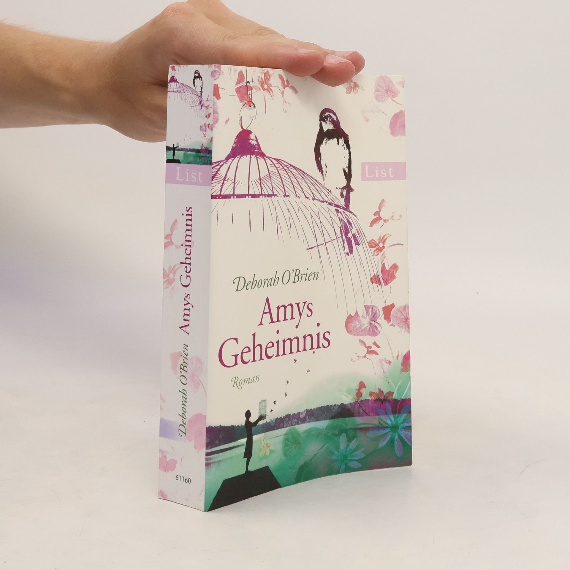 Deborah O. Brien Amys Geheimnis