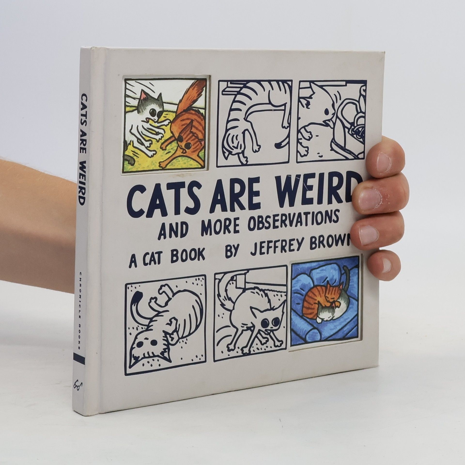 Jeffrey Brown Cats Are Weird