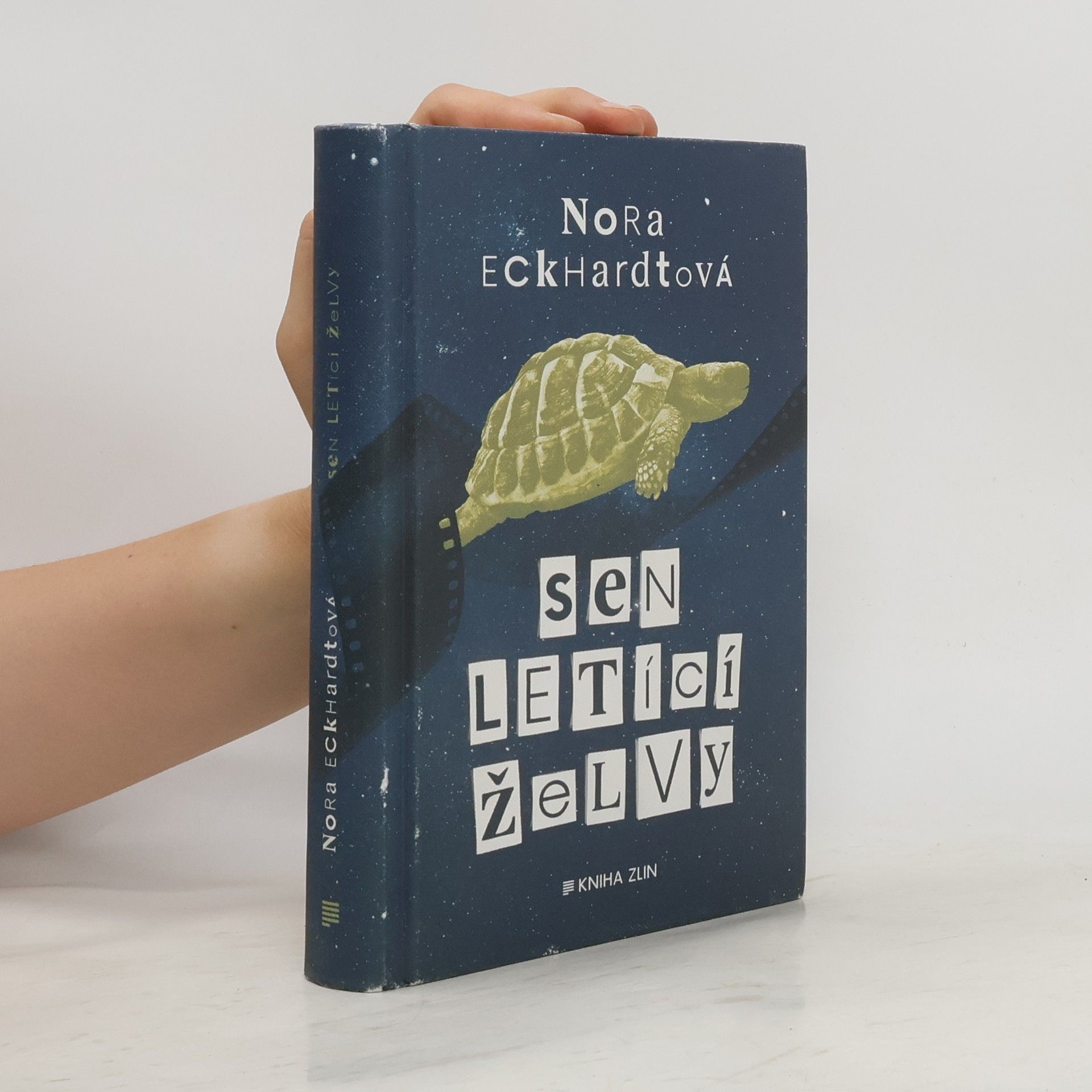Nora Eckhardtová Sen letící želvy