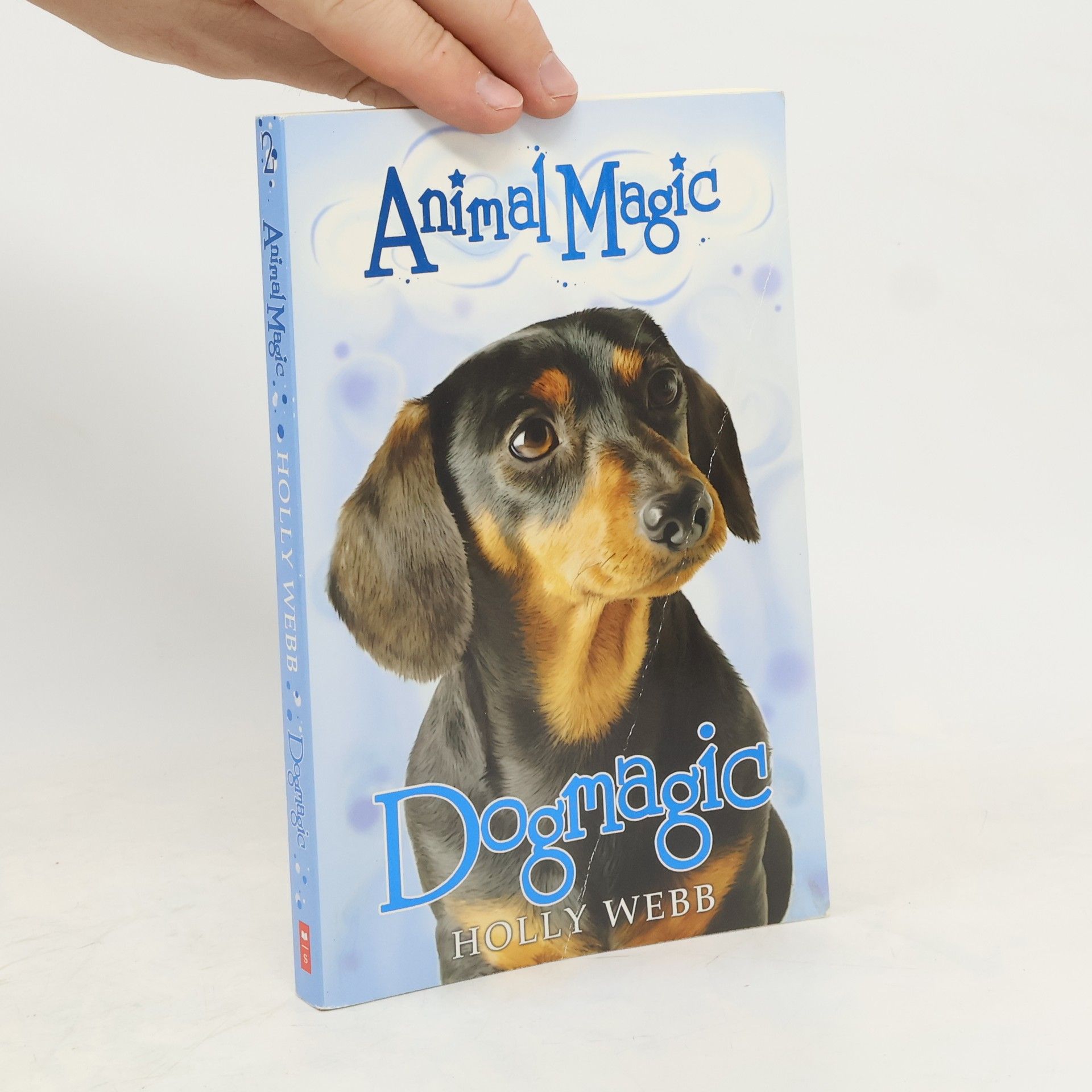 Holly Webb Dogmagic