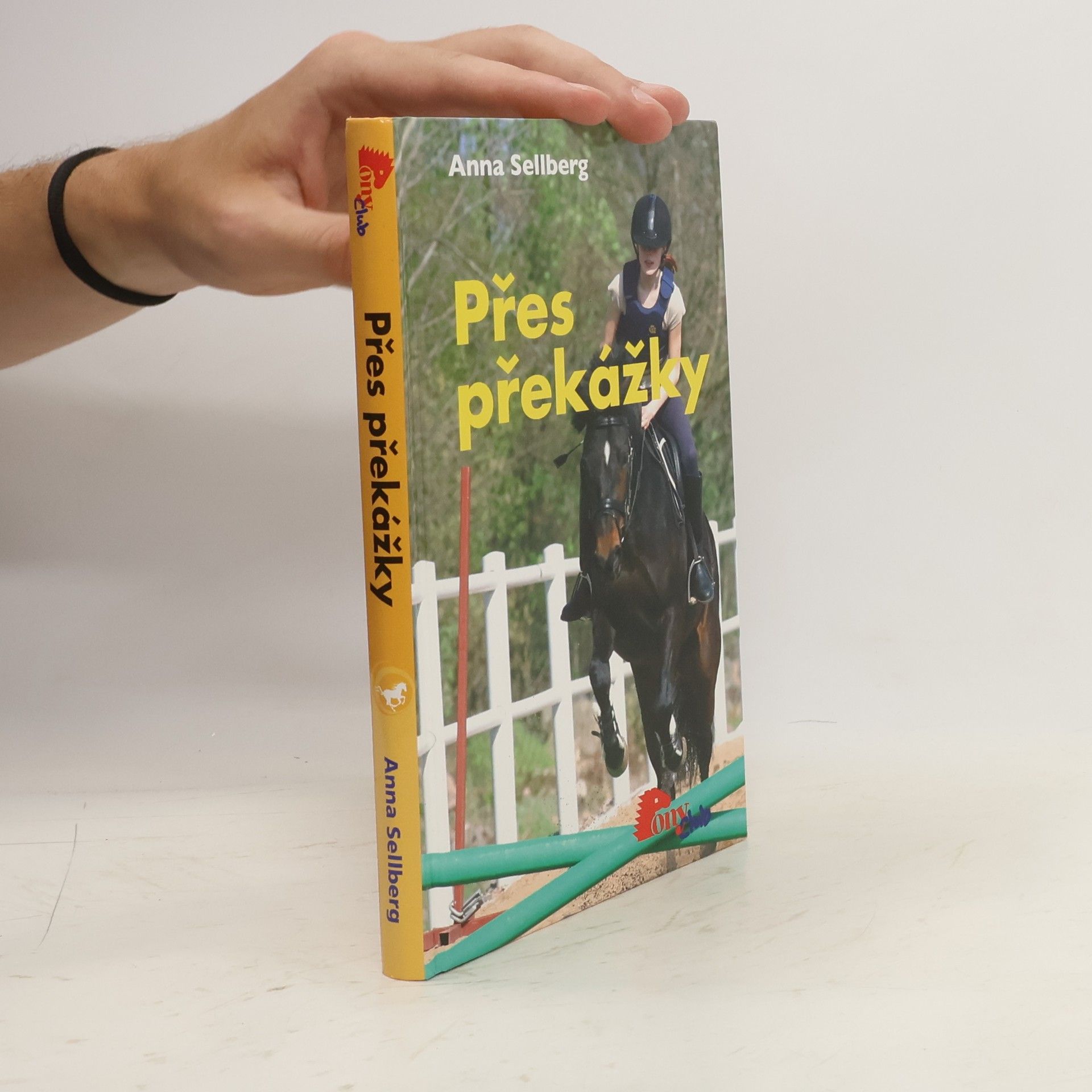 Anna Sellberg Přes překážky