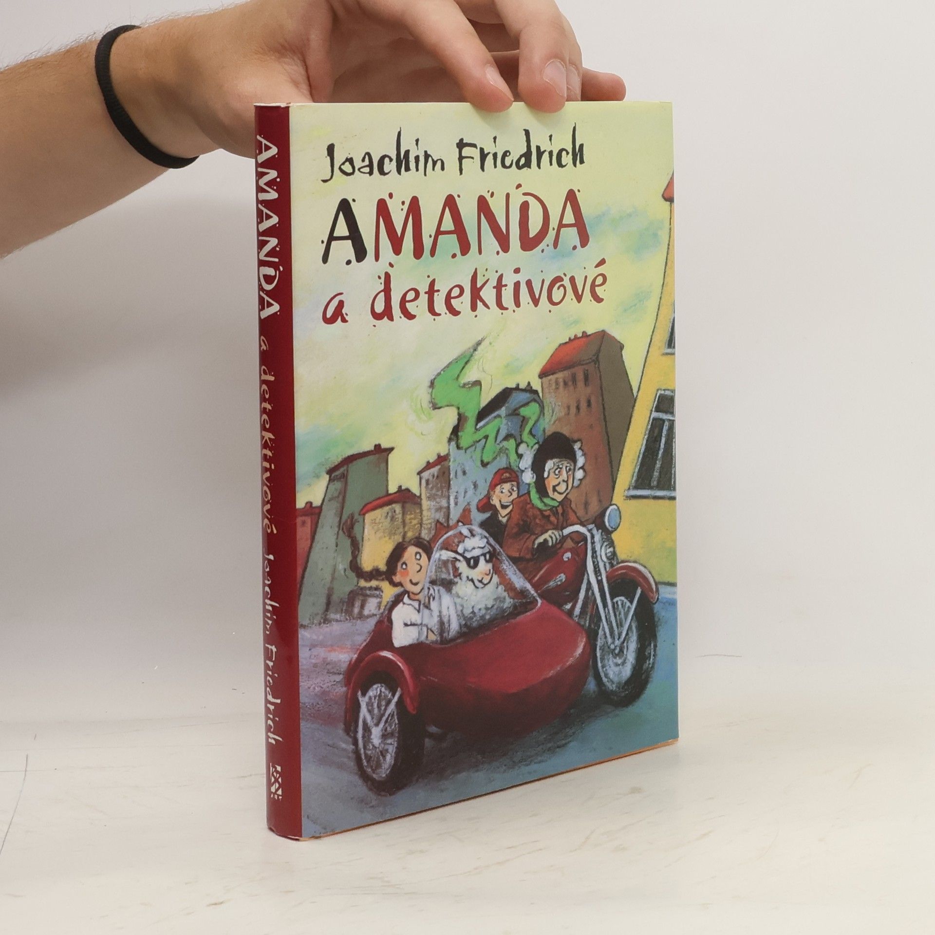 Joachim-Friedrich Kapp Amanda a detektivové