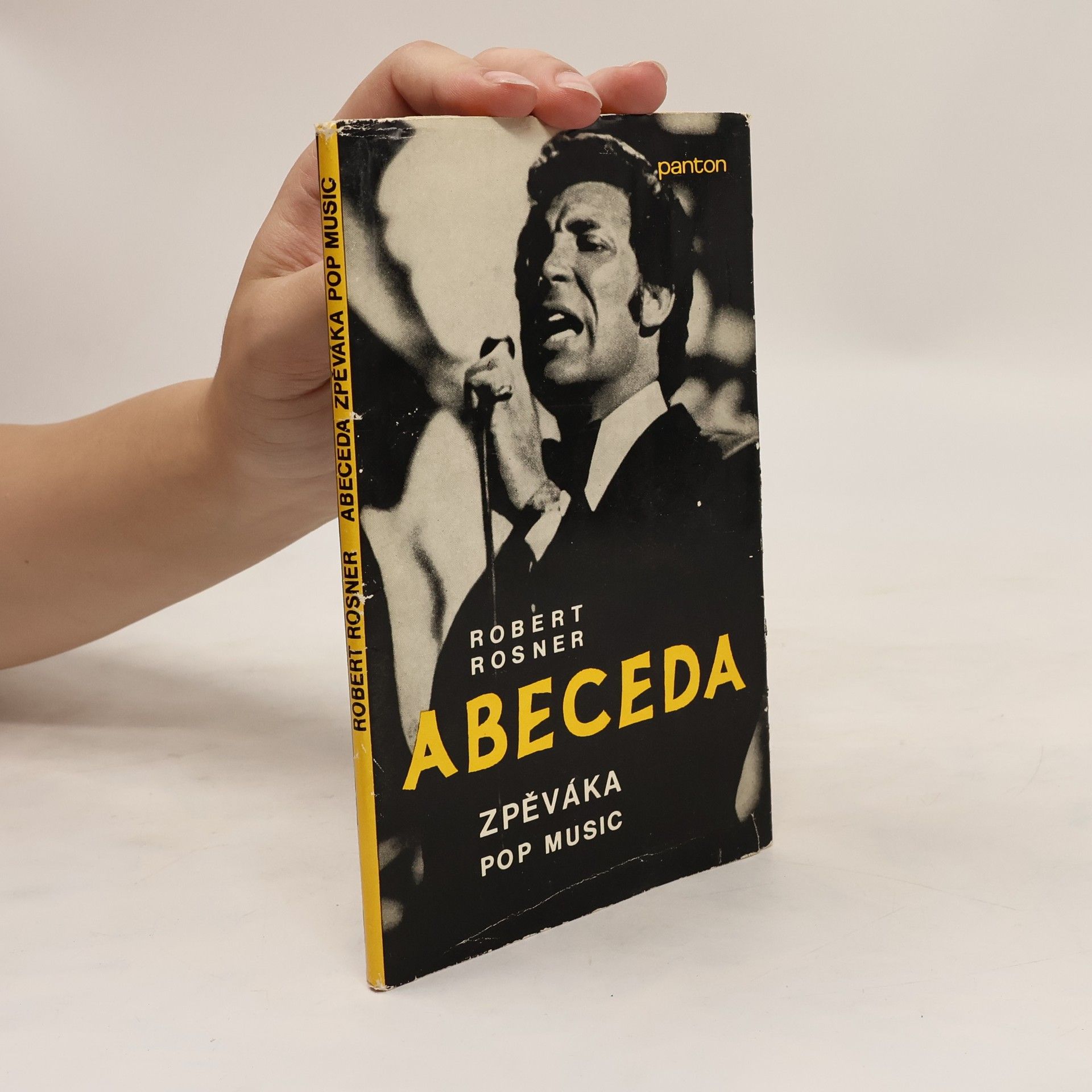 Robert Rosner Abeceda zpěváka pop-music