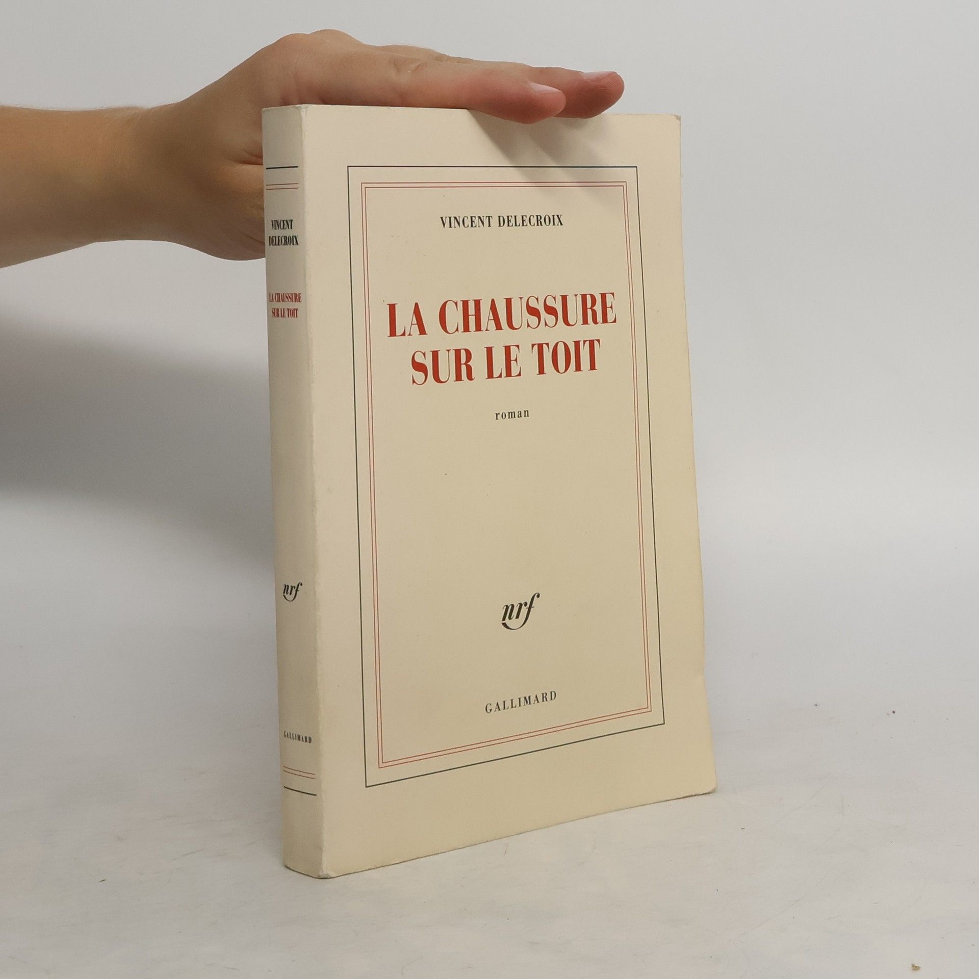 Vincent Delecroix La chaussure sur le toit