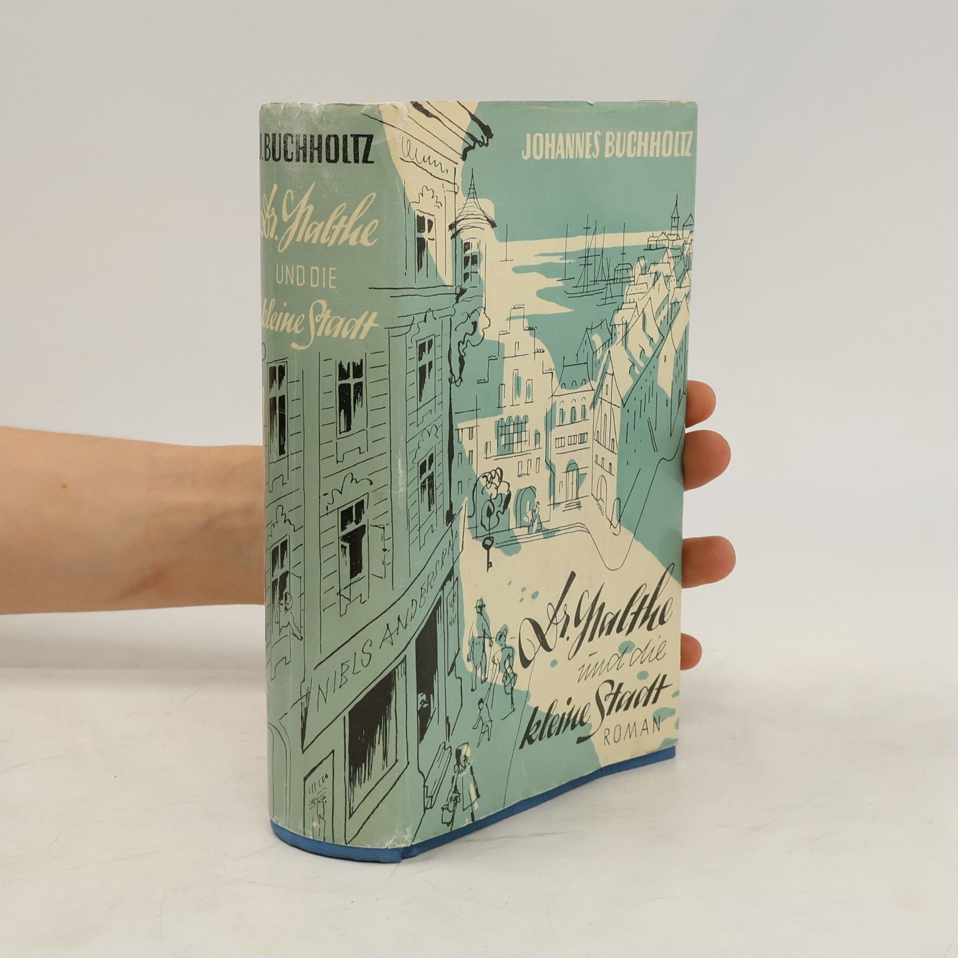 Johannes Buchholtz Dr. Malthe und die kleine Stadt 1. Gute kleine Stadt