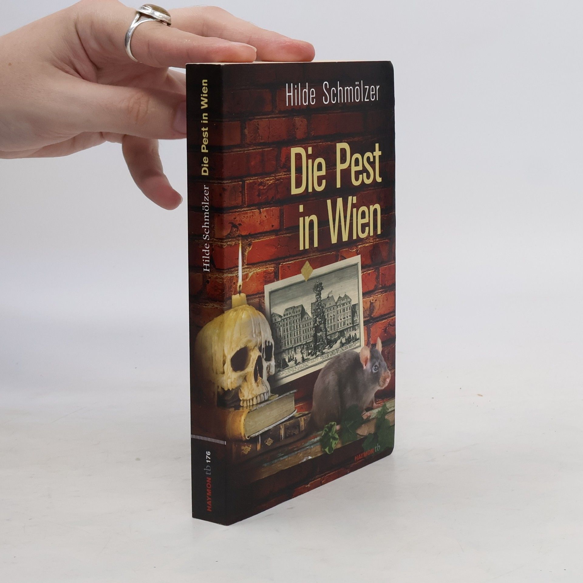 Hilde Schmölzer Die Pest in Wien