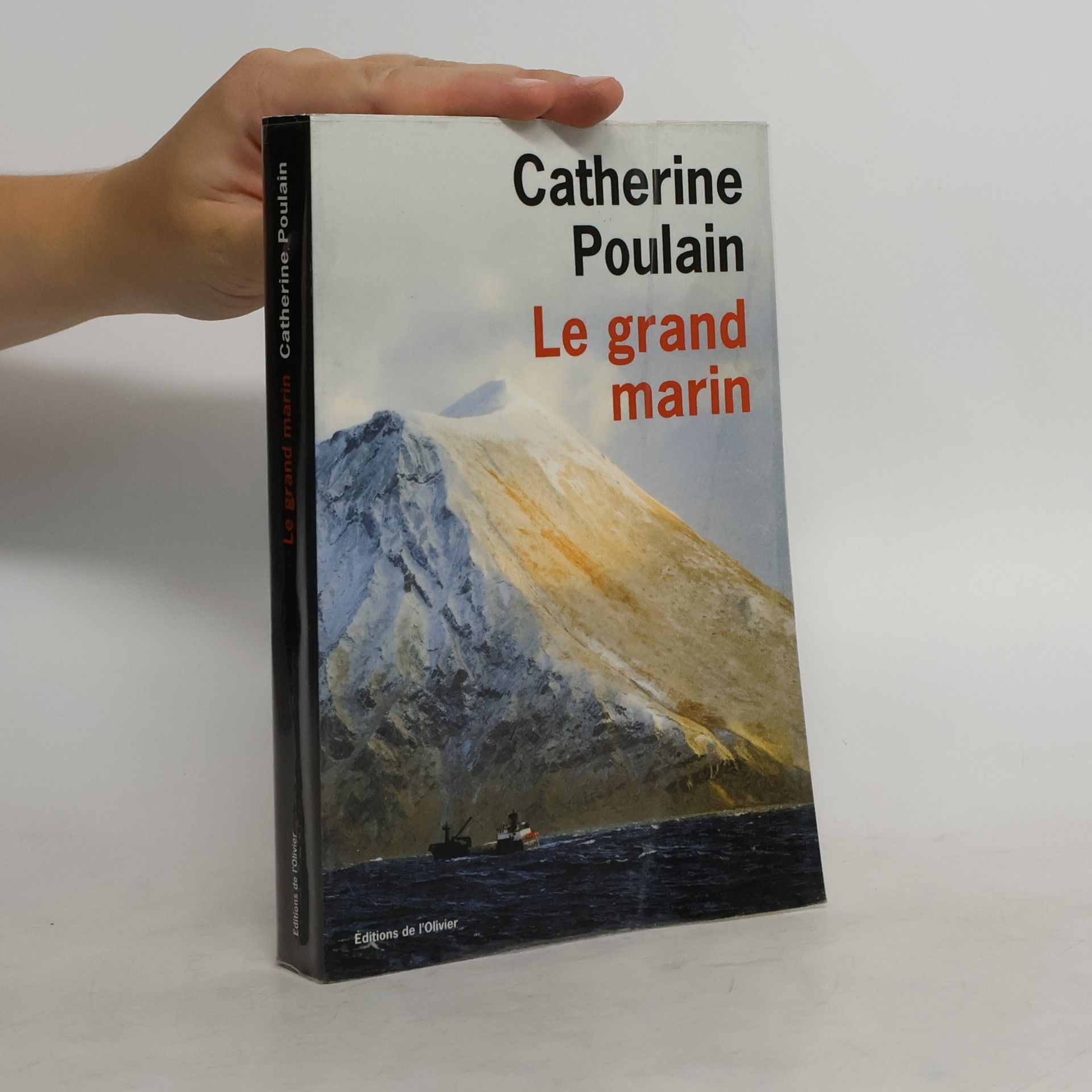 Catherine Poulain Le grand marin