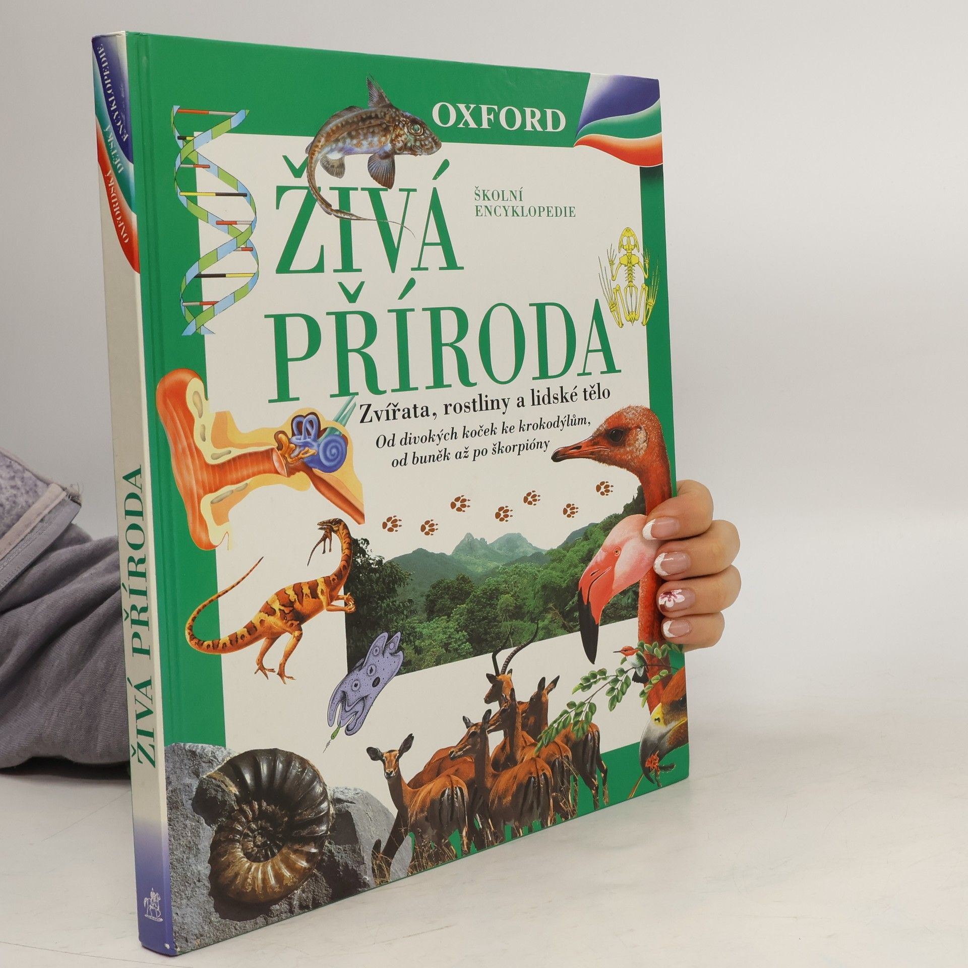 Autorenkollektiv Živá příroda