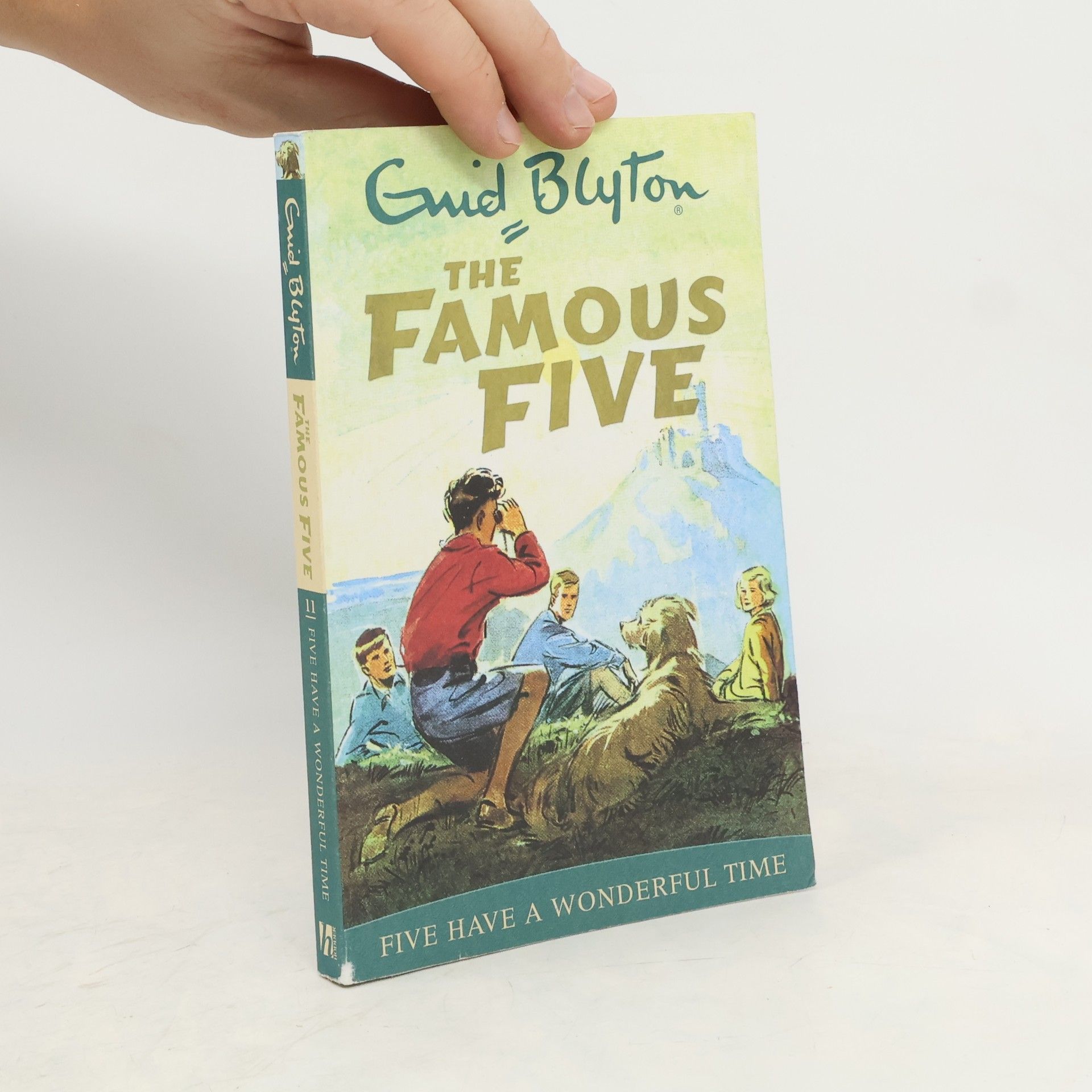 Enid Blyton Five Have a Wonderful Time