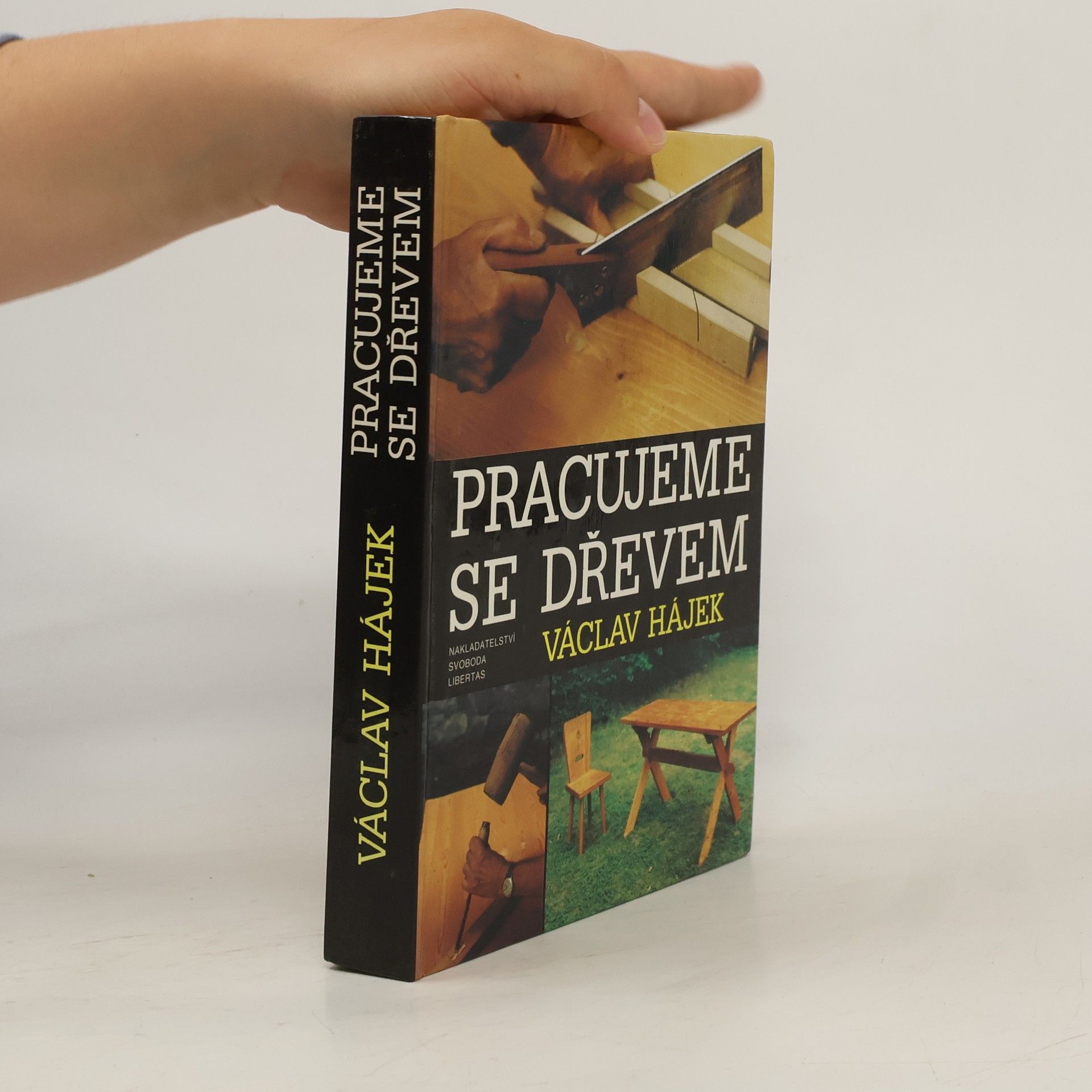 Václav Hájek Pracujeme se dřevem