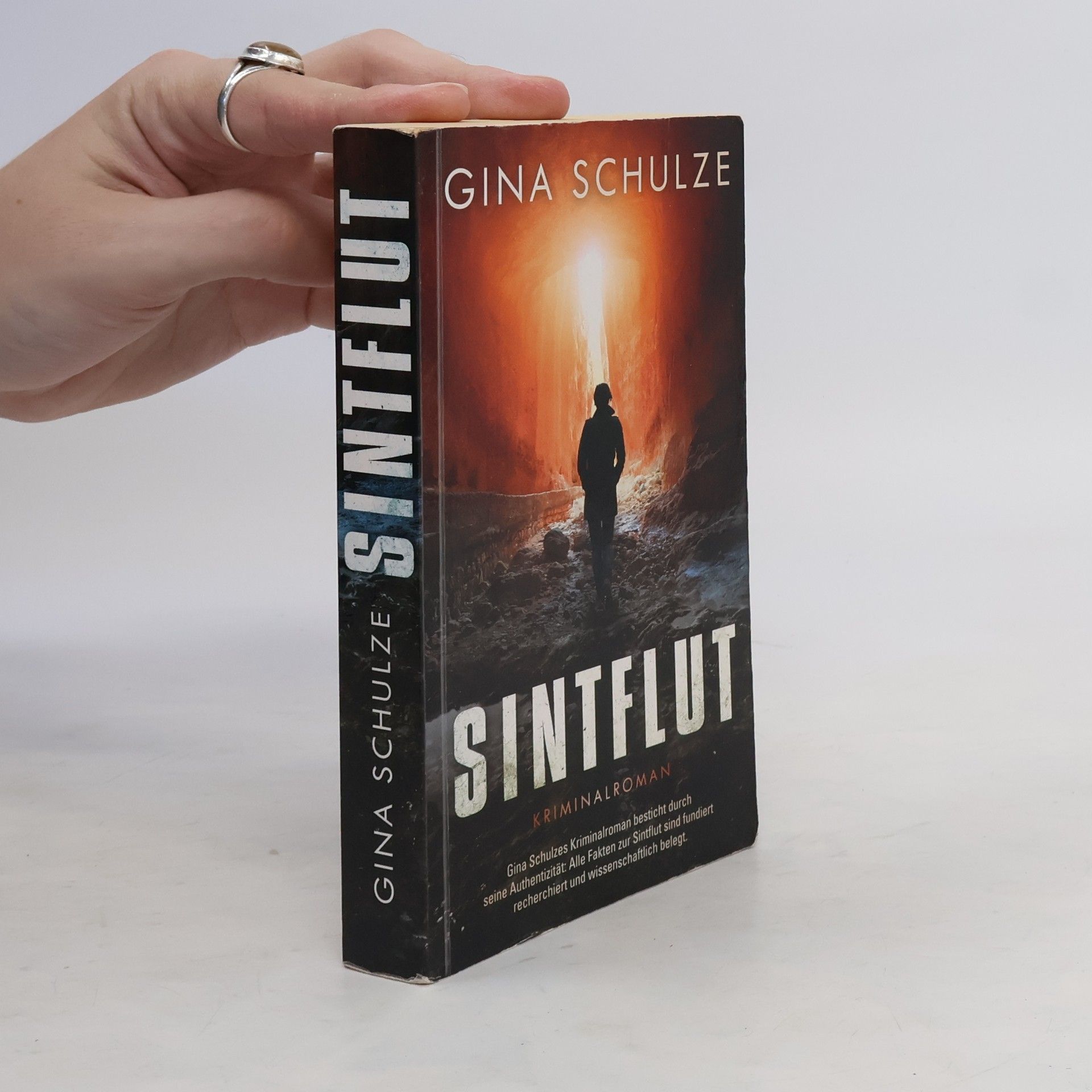 Gina Schulze Sintflut