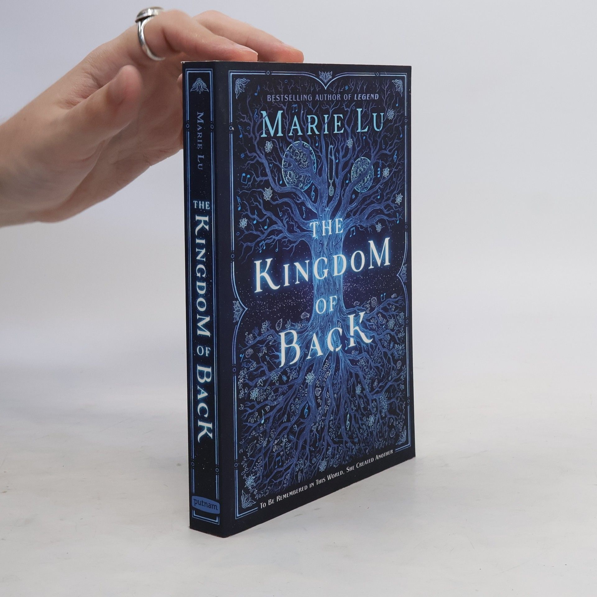 Marie Lu The Kingdom of Back