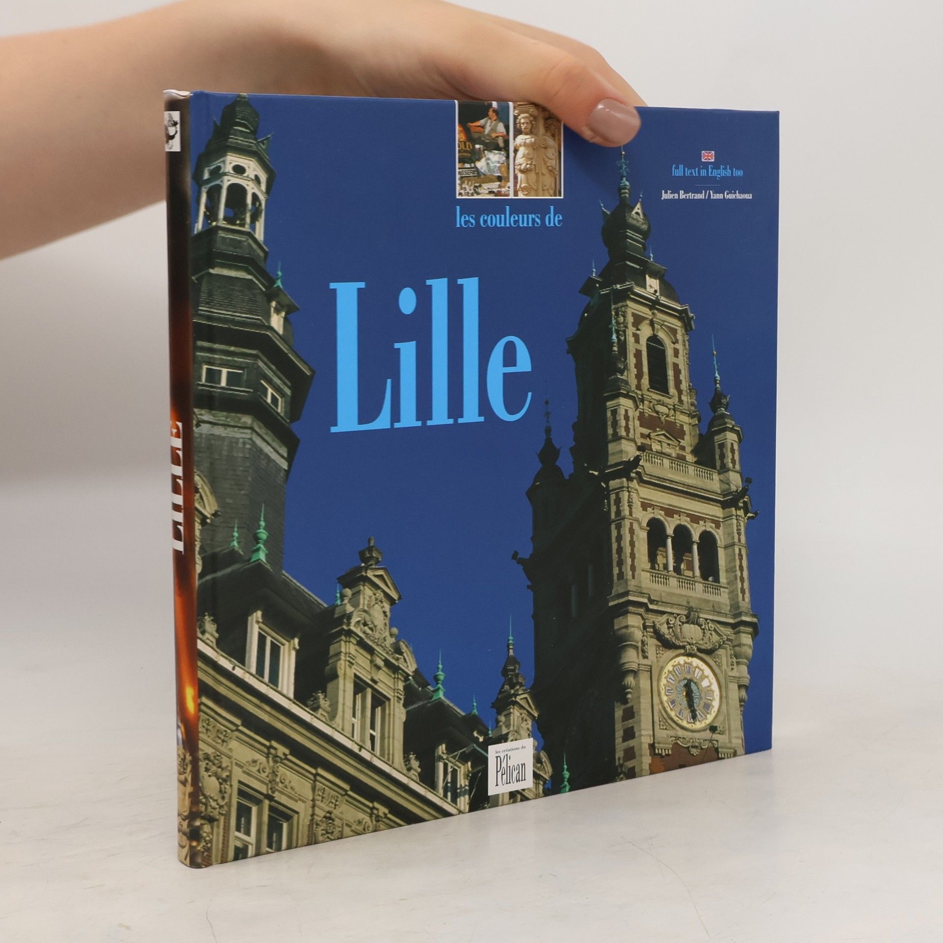 Julien Bertrand Les couleurs de Lille