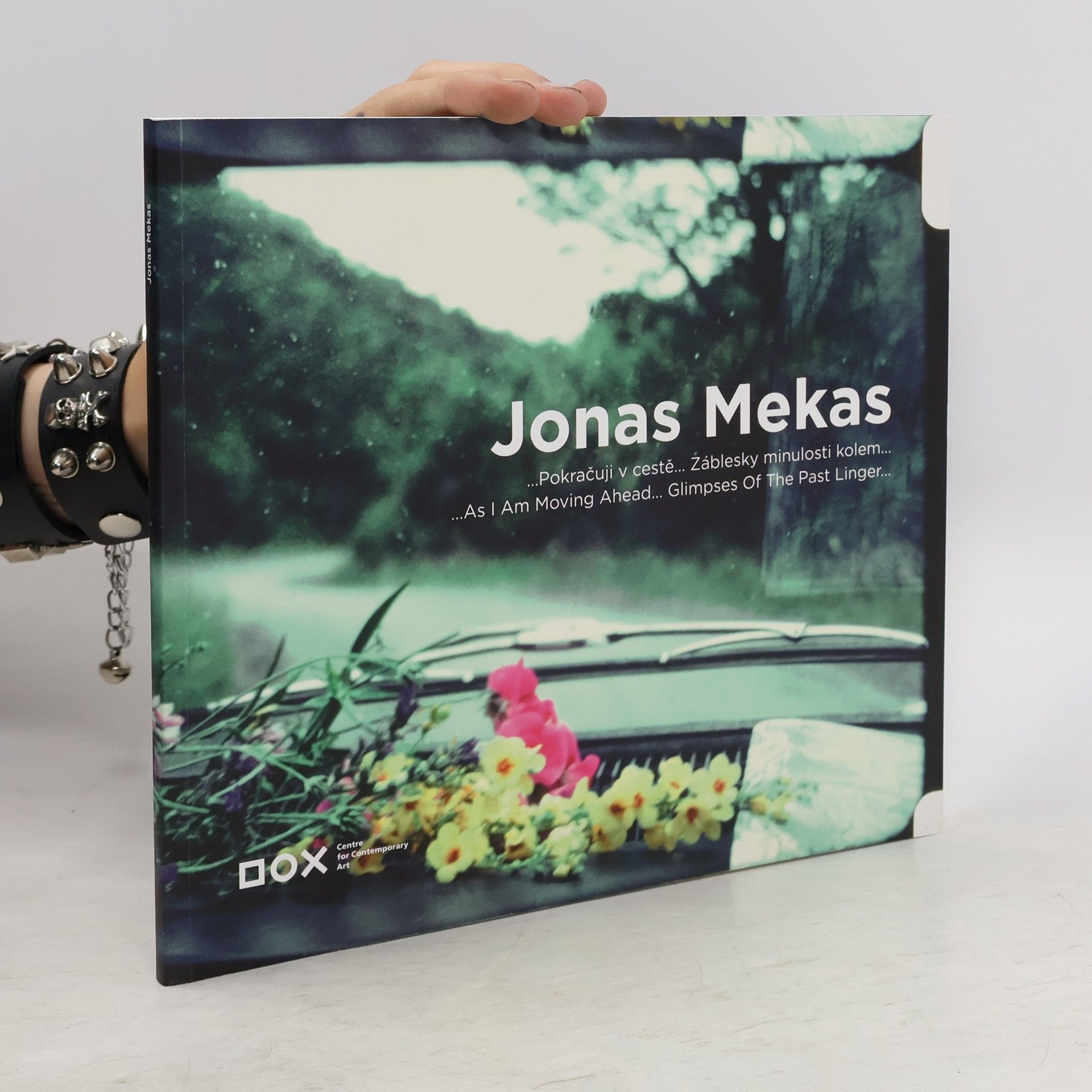 Jaroslav Anděl Jonas Mekas: …Pokračuji v cestě… Záblesky minulosti kolem…