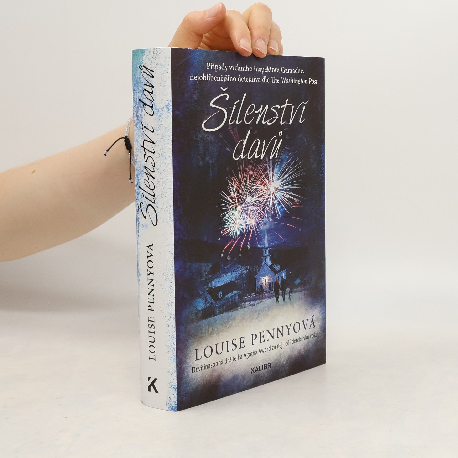 Louise Penny Šílenství davů