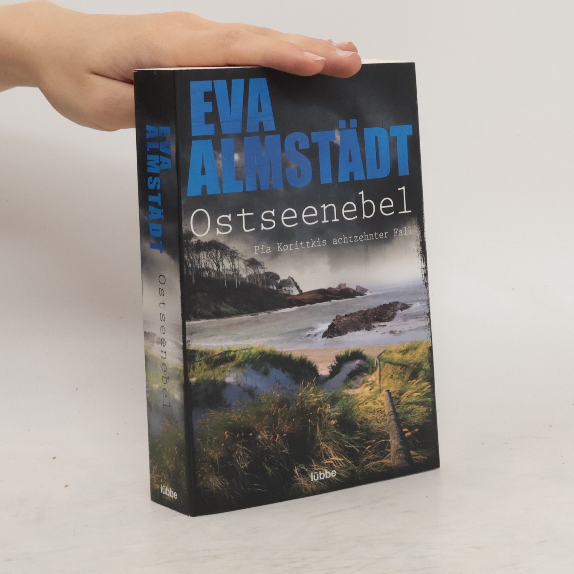 Eva Almstadt Ostseenebel