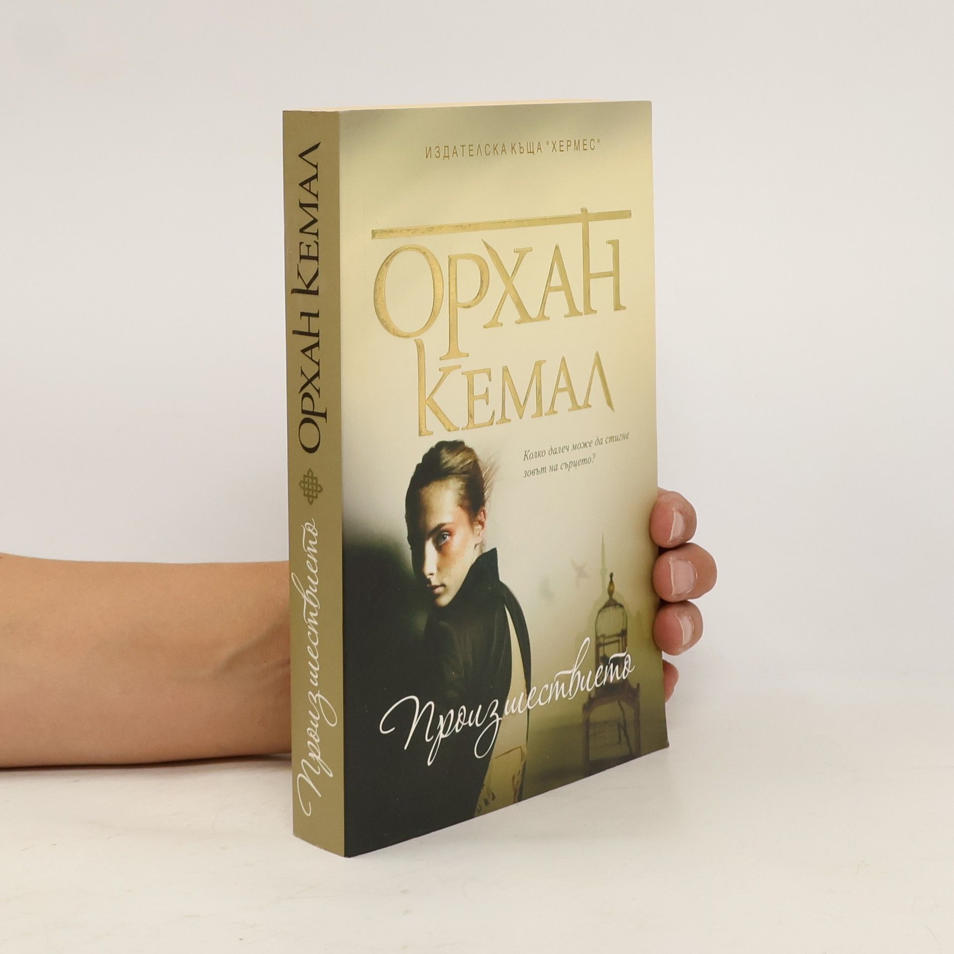 Орхан Кемал Господарката на чифлика, книга 1. Произшествието